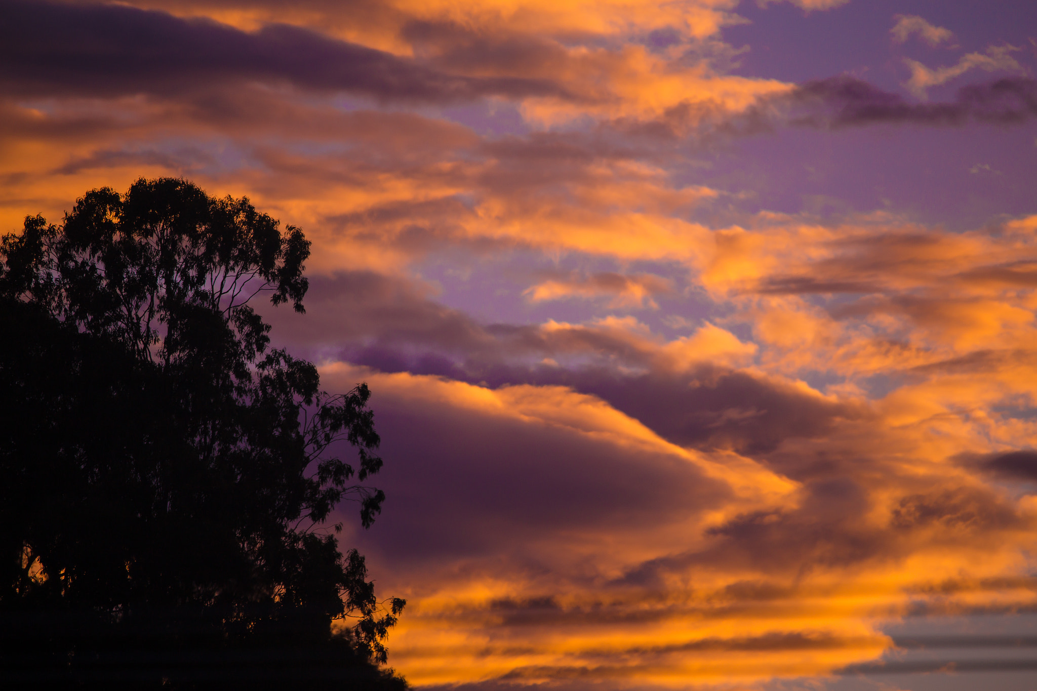 Canon EF 100-400mm F4.5-5.6L IS USM sample photo. Sunset photography