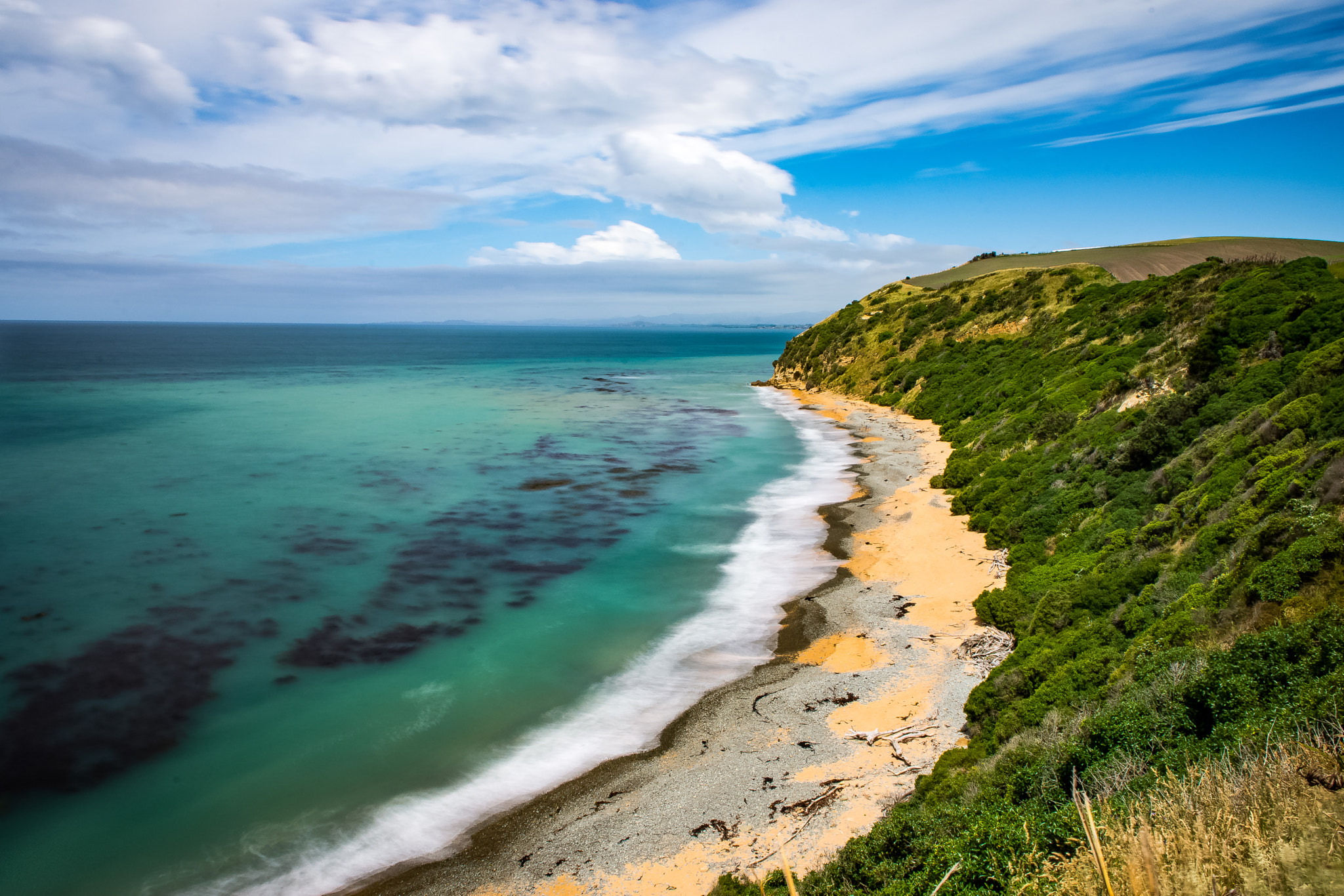 Nikon D7200 sample photo. Oamaru beach - blue penguins colony photography