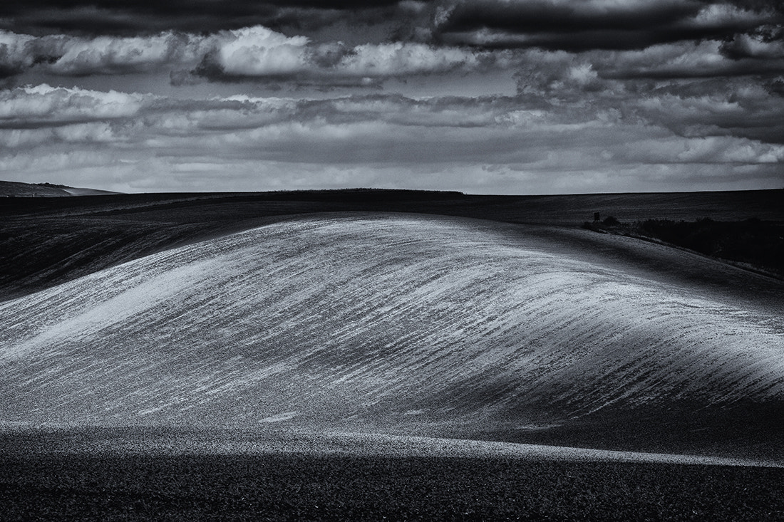 Canon EOS 5DS R sample photo. Field drama photography