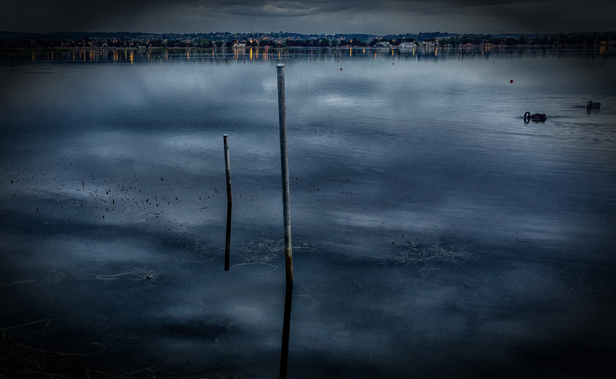 Olympus OM-D E-M1 sample photo. Poles in a lake photography