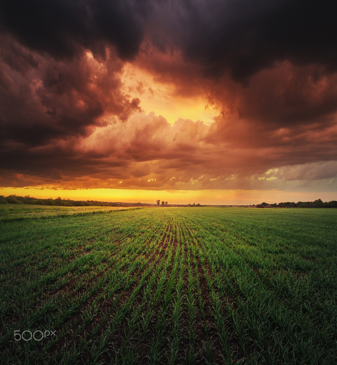 Canon EF-S 17-55mm F2.8 IS USM sample photo. Burning sky photography