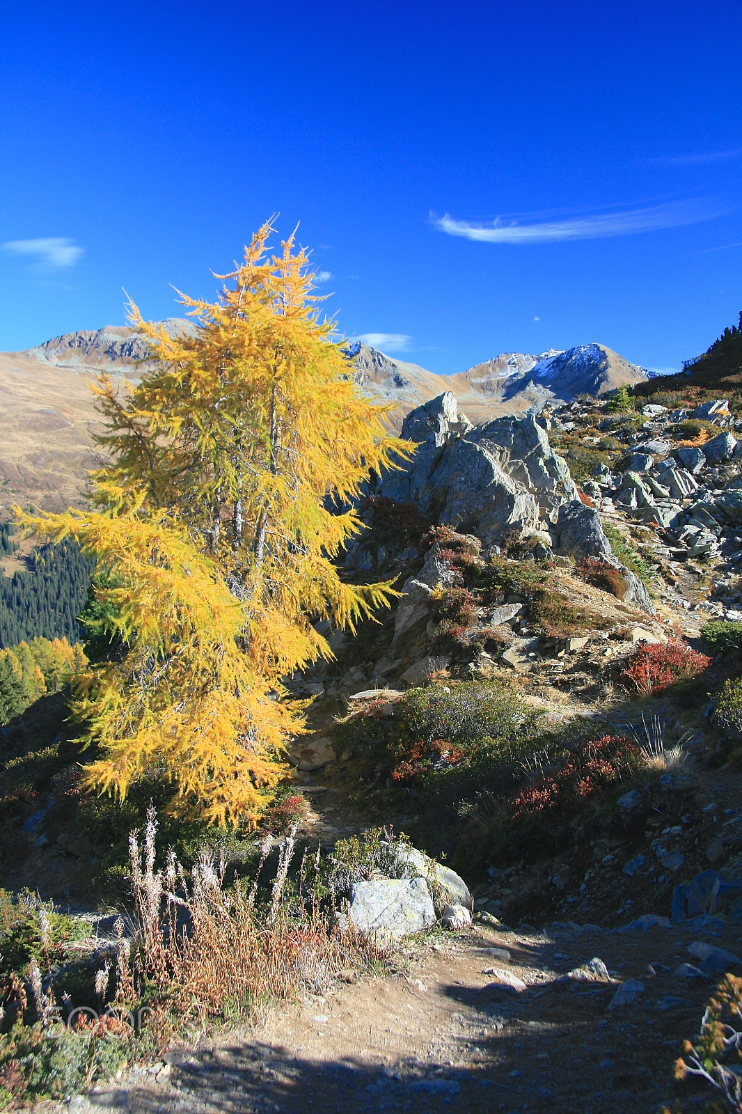 Canon EF-S 17-85mm F4-5.6 IS USM sample photo. Mountain trail photography