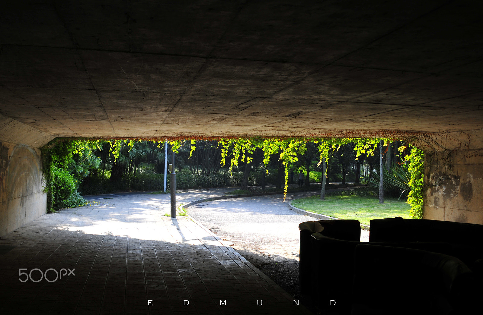 Sigma 24-70mm F2.8 EX DG HSM sample photo. Sunshine photography