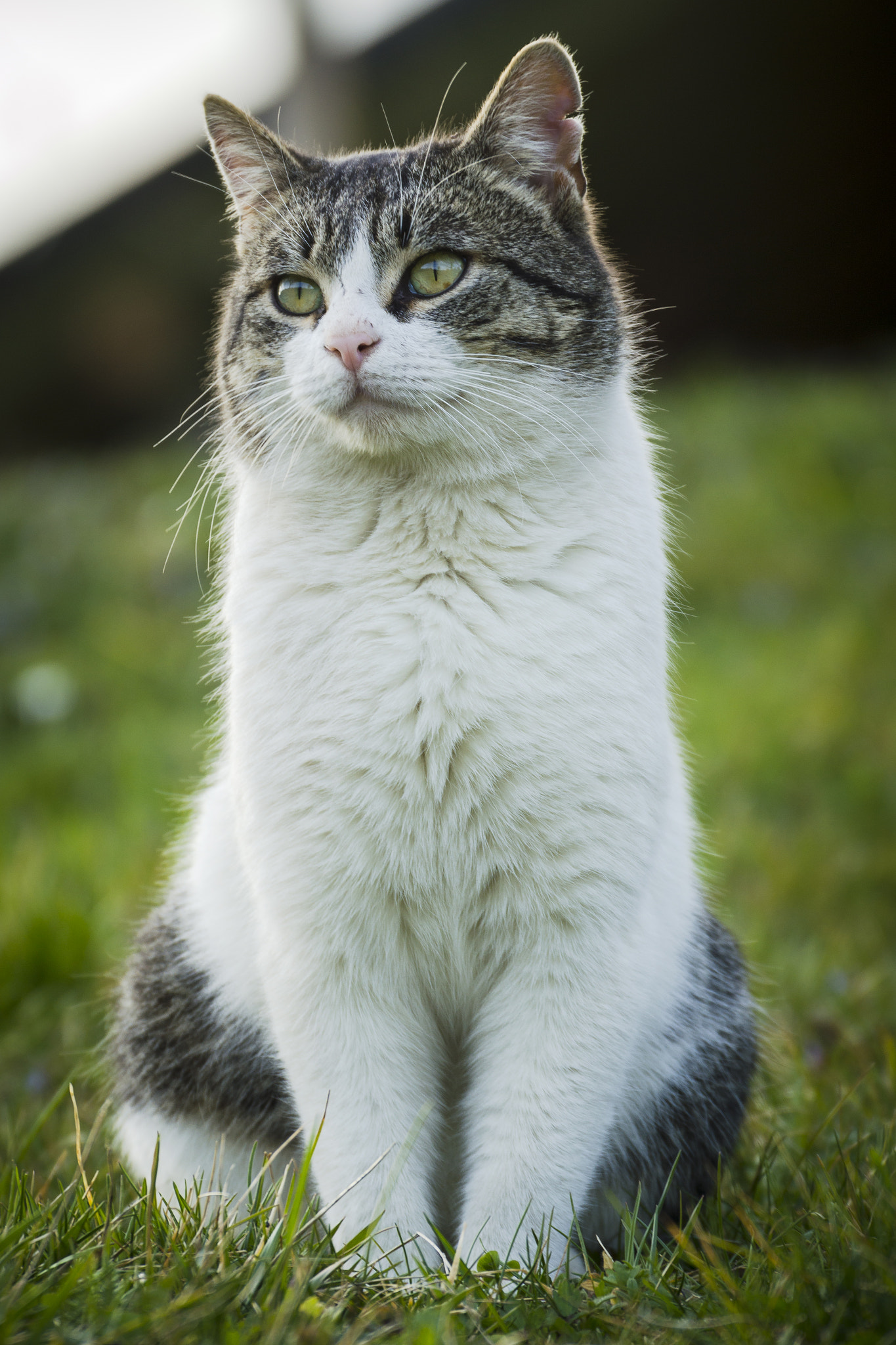 Nikon D3200 sample photo. Das model photography