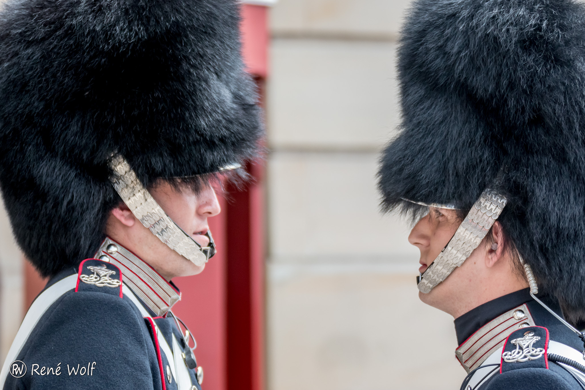 Canon EOS 70D + Tamron SP 70-300mm F4-5.6 Di VC USD sample photo. Changing of the guard at amalienborg photography