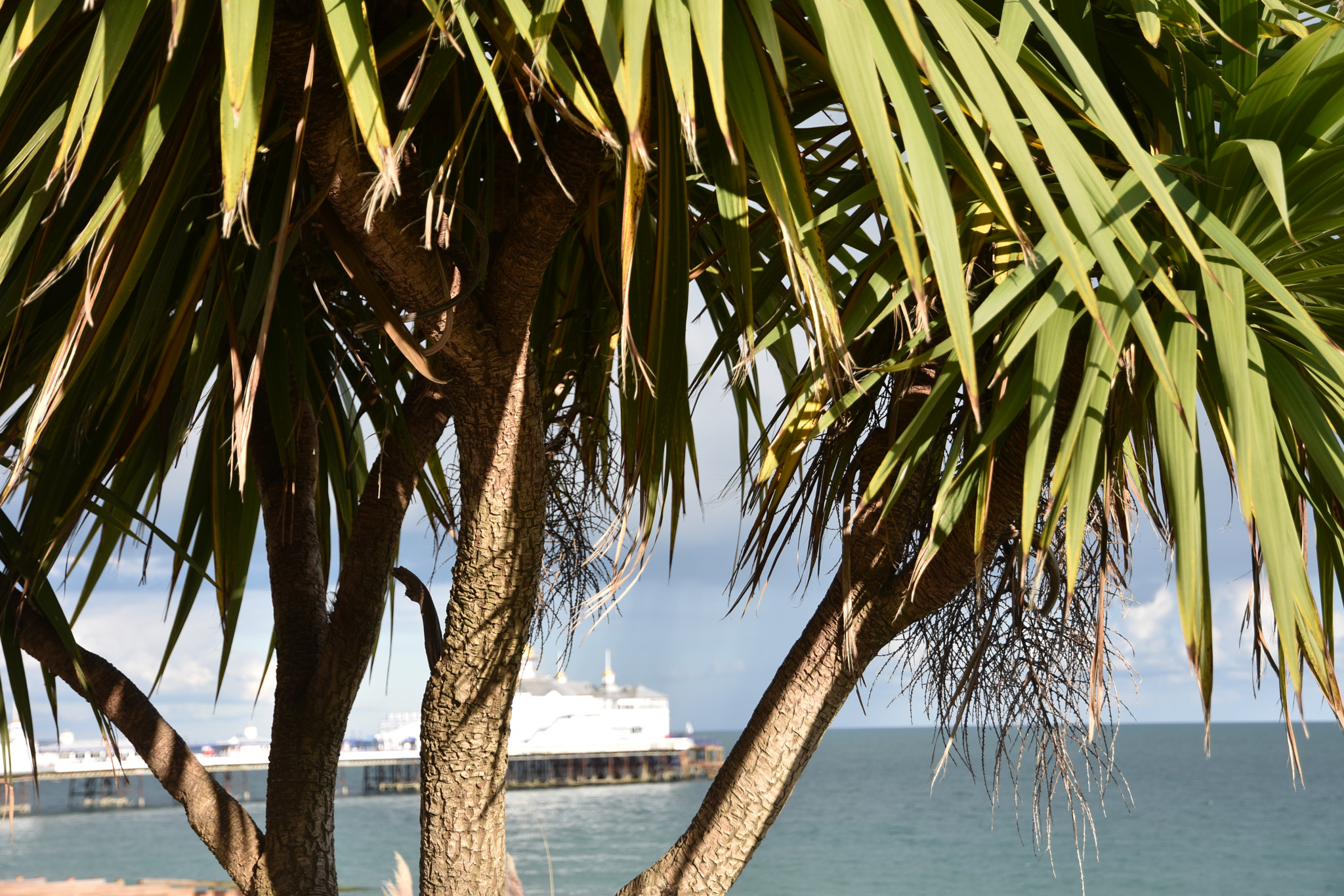 Nikon D7200 sample photo. Eastbourne pier  photography