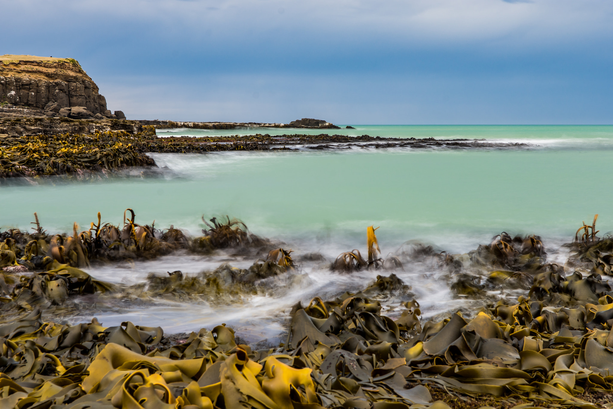 Nikon D7200 sample photo. Curio bay photography