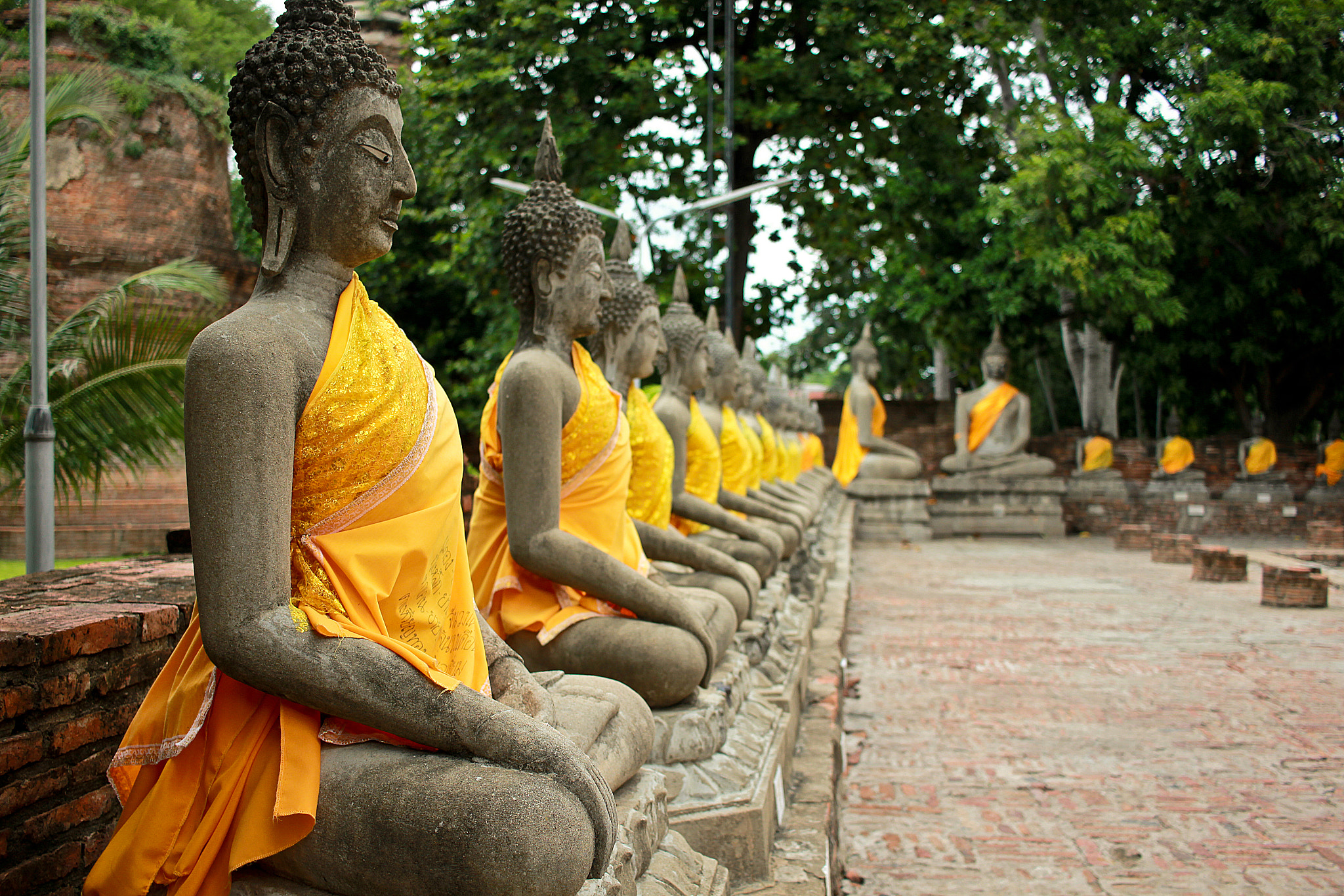 Canon EOS 550D (EOS Rebel T2i / EOS Kiss X4) + Canon EF-S 24mm F2.8 STM sample photo. Ayutthaya, thailand photography