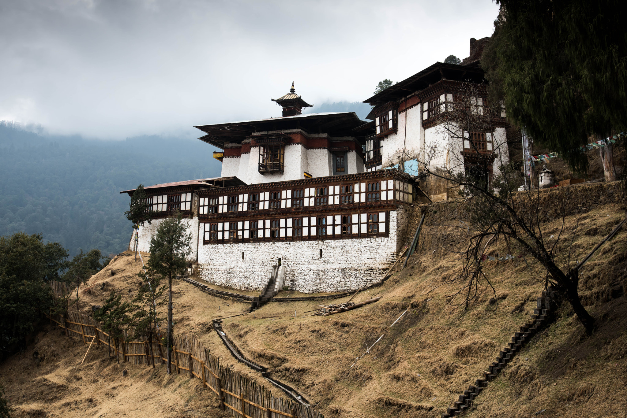 Nikon D810 + Nikon AF-S Nikkor 18-35mm F3.5-4.5G ED sample photo. Chagri (cheri) monastery, bhutan photography