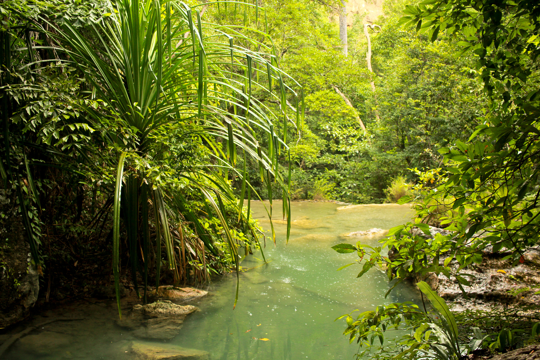Canon EF-S 24mm F2.8 STM sample photo. Erawan waterfalls, thailand photography