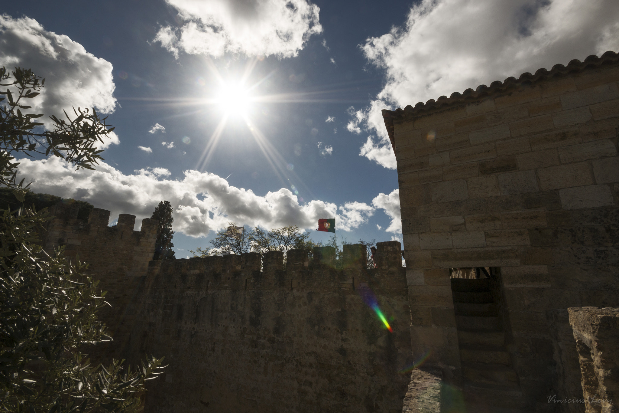 Canon EOS 70D + Sigma 10-20mm F4-5.6 EX DC HSM sample photo. Castelo de são jorge photography