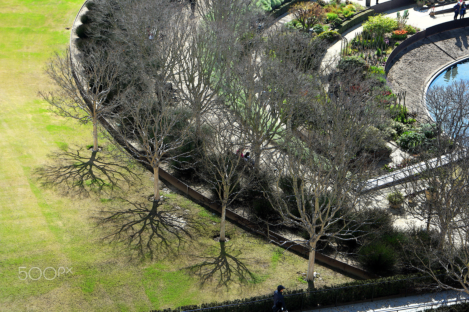 Samsung NX500 + Samsung NX 16-50mm F3.5-5.6 Power Zoom ED OIS sample photo. Bare trees the getty garden 2017 photography