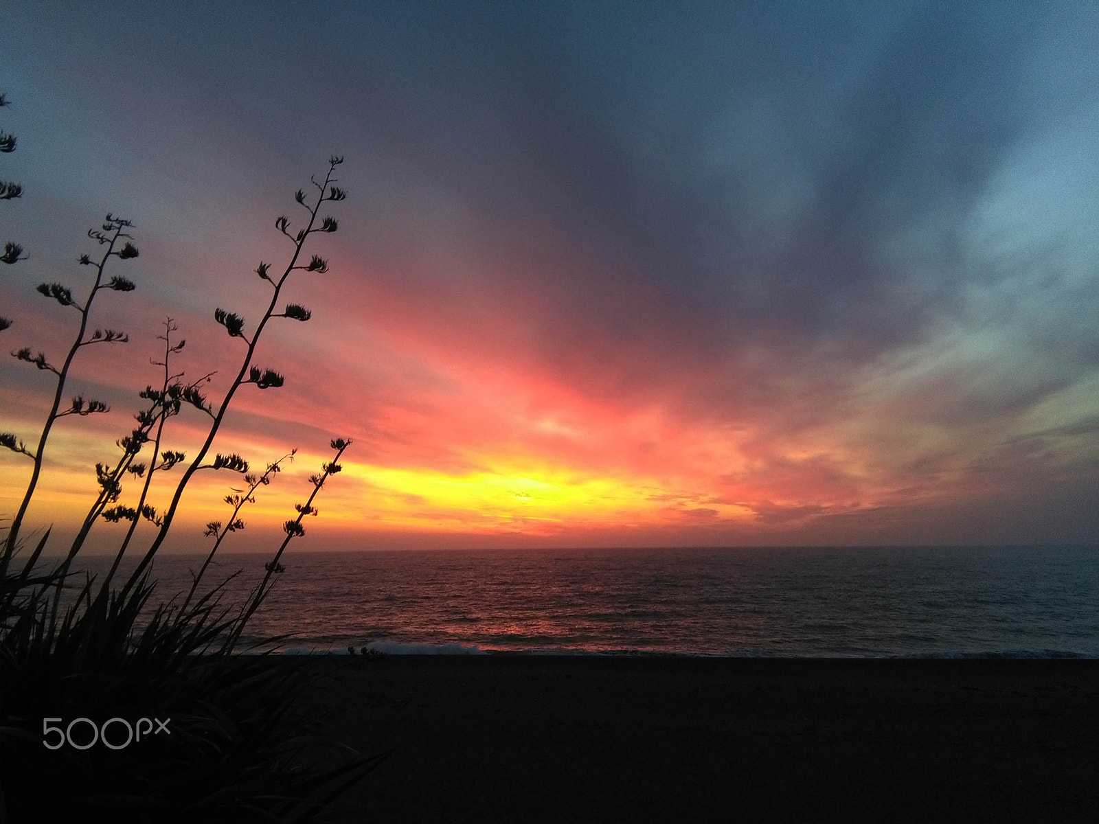 HUAWEI Y6 sample photo. Shepherds warning photography