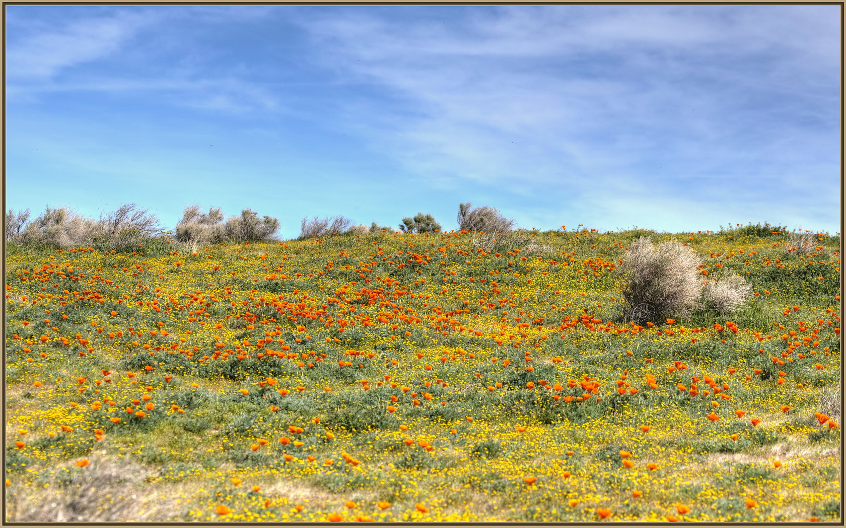 Sigma 105mm F2.8 EX DG OS HSM sample photo. The hills are alive photography