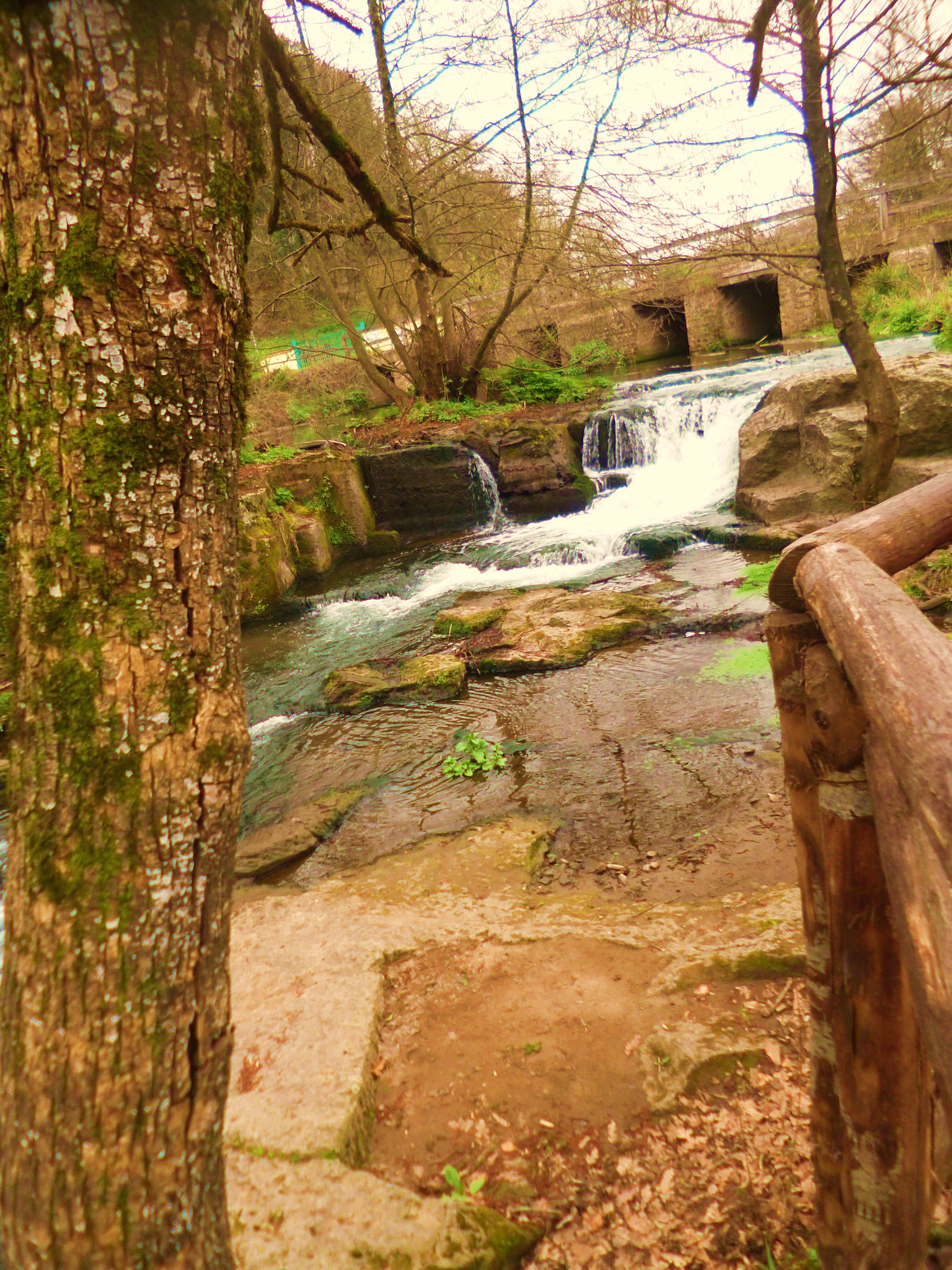 Panasonic DMC-FS40 sample photo. Panta rei...(cascate monte gelato -vt-) photography