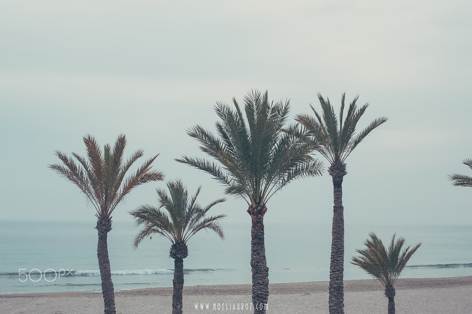 Nikon D700 + Nikon AF-S Nikkor 50mm F1.8G sample photo. Benidorm photography