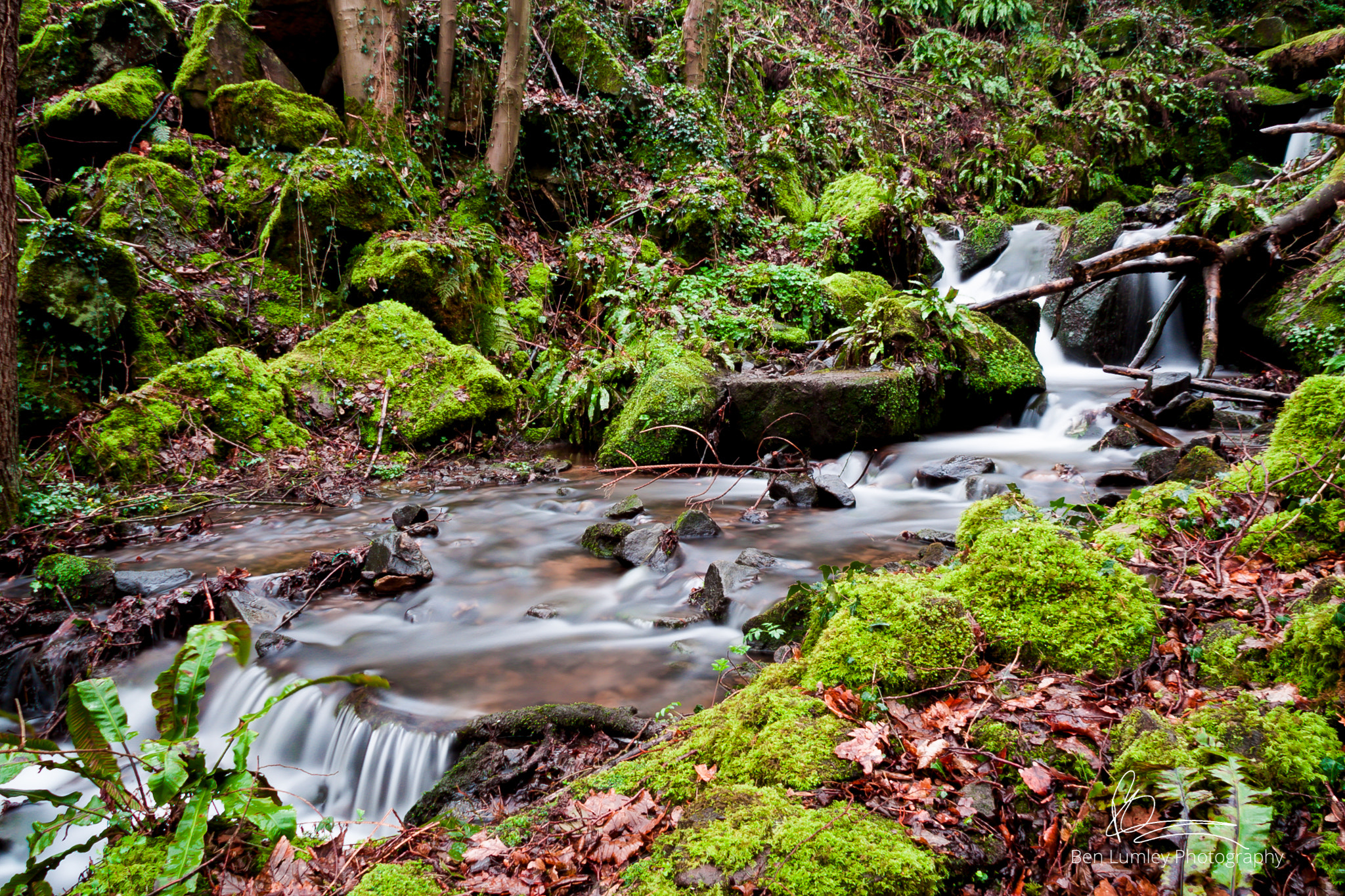 Canon EOS 50D sample photo. Cromford falls photography