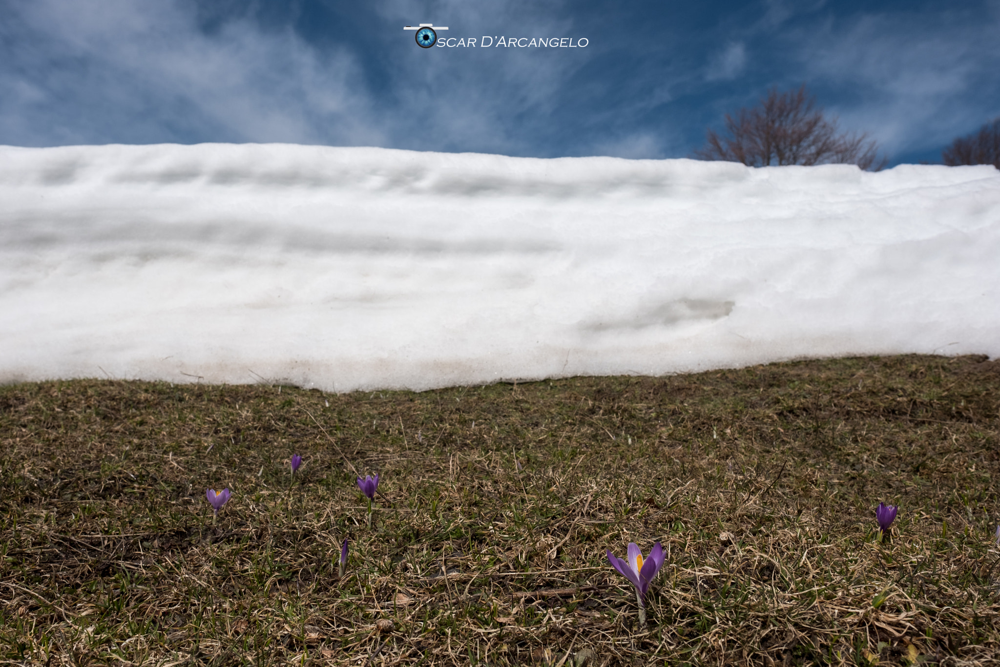 Fujifilm XF 16mm F1.4 R WR sample photo. Xpro photography
