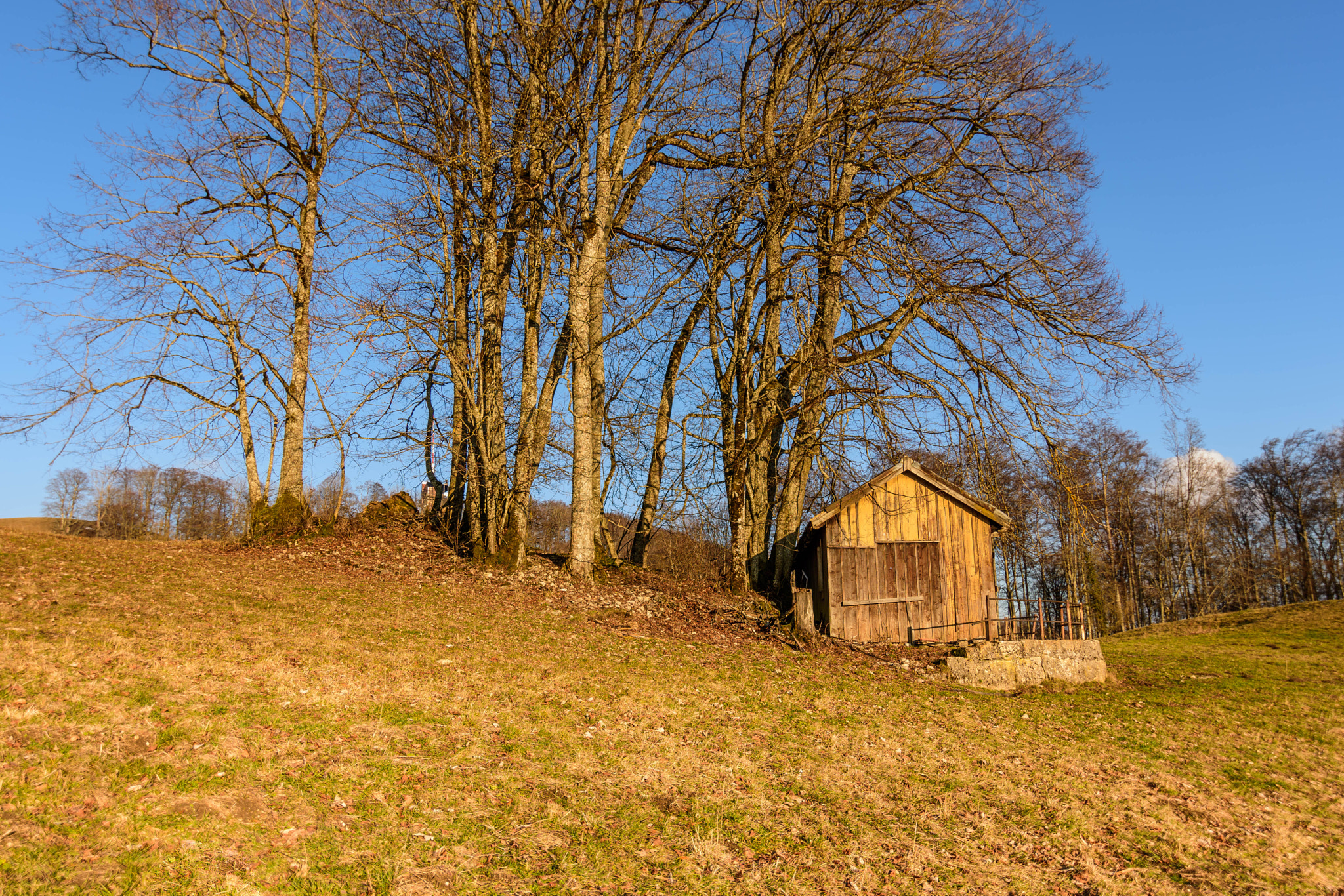 Nikon D7200 sample photo. Shack photography