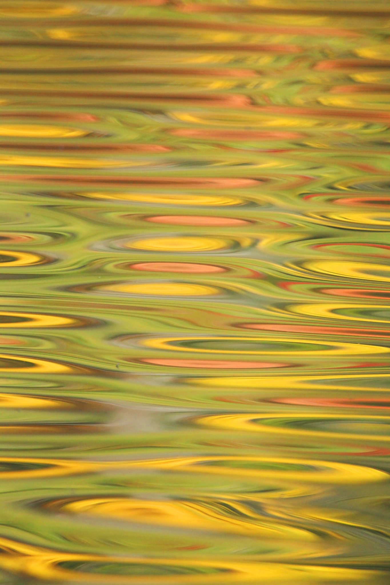 Canon EF 100-400mm F4.5-5.6L IS USM sample photo. Minamo20121021_150821 photography