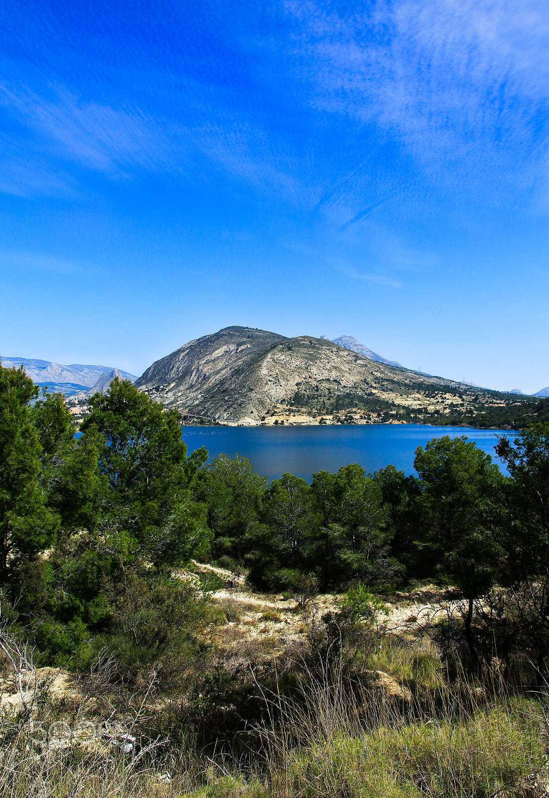 Canon EOS 1200D (EOS Rebel T5 / EOS Kiss X70 / EOS Hi) sample photo. Spring is so pretty photography