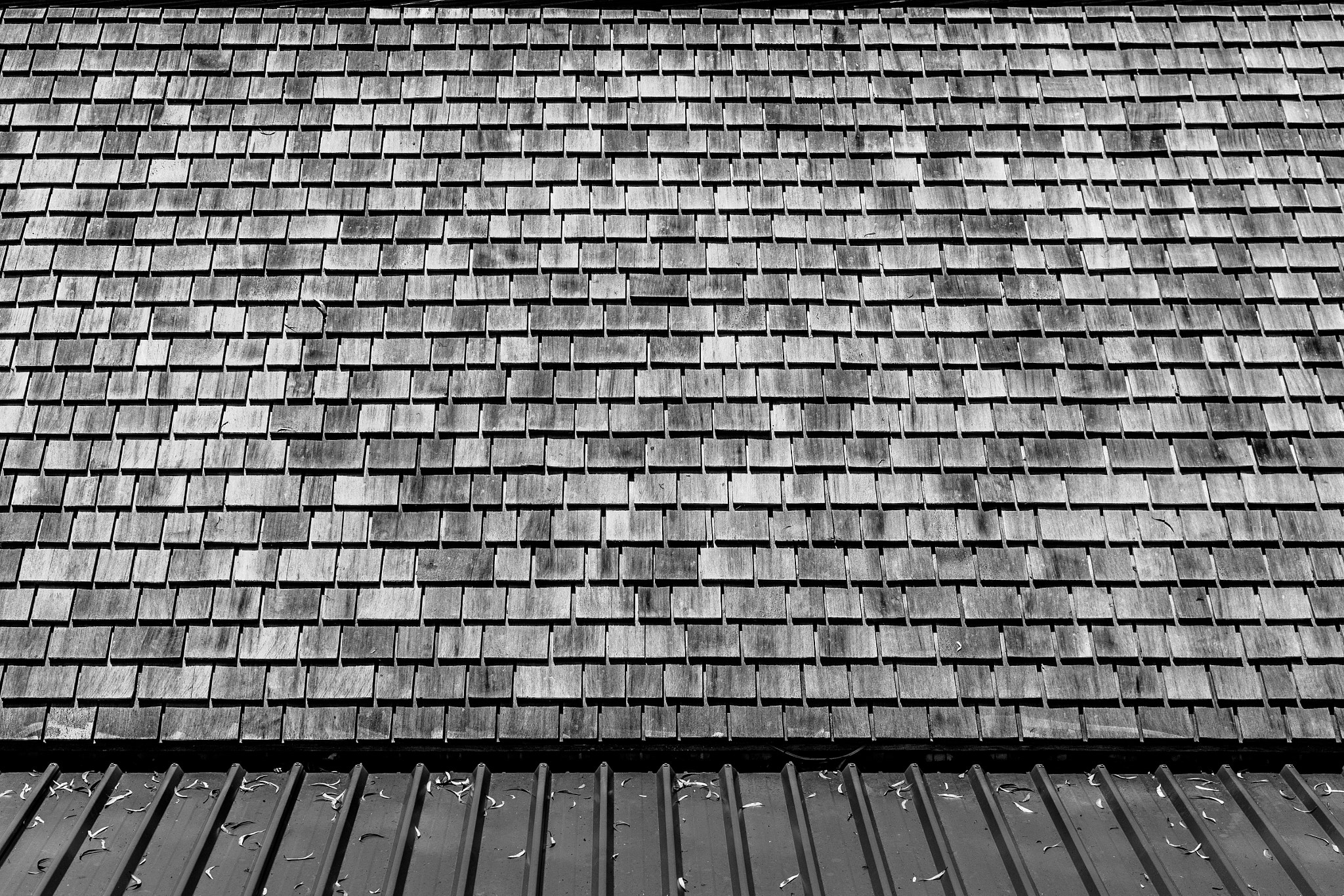 Sigma 18-35mm F1.8 DC HSM Art sample photo. The roof! photography