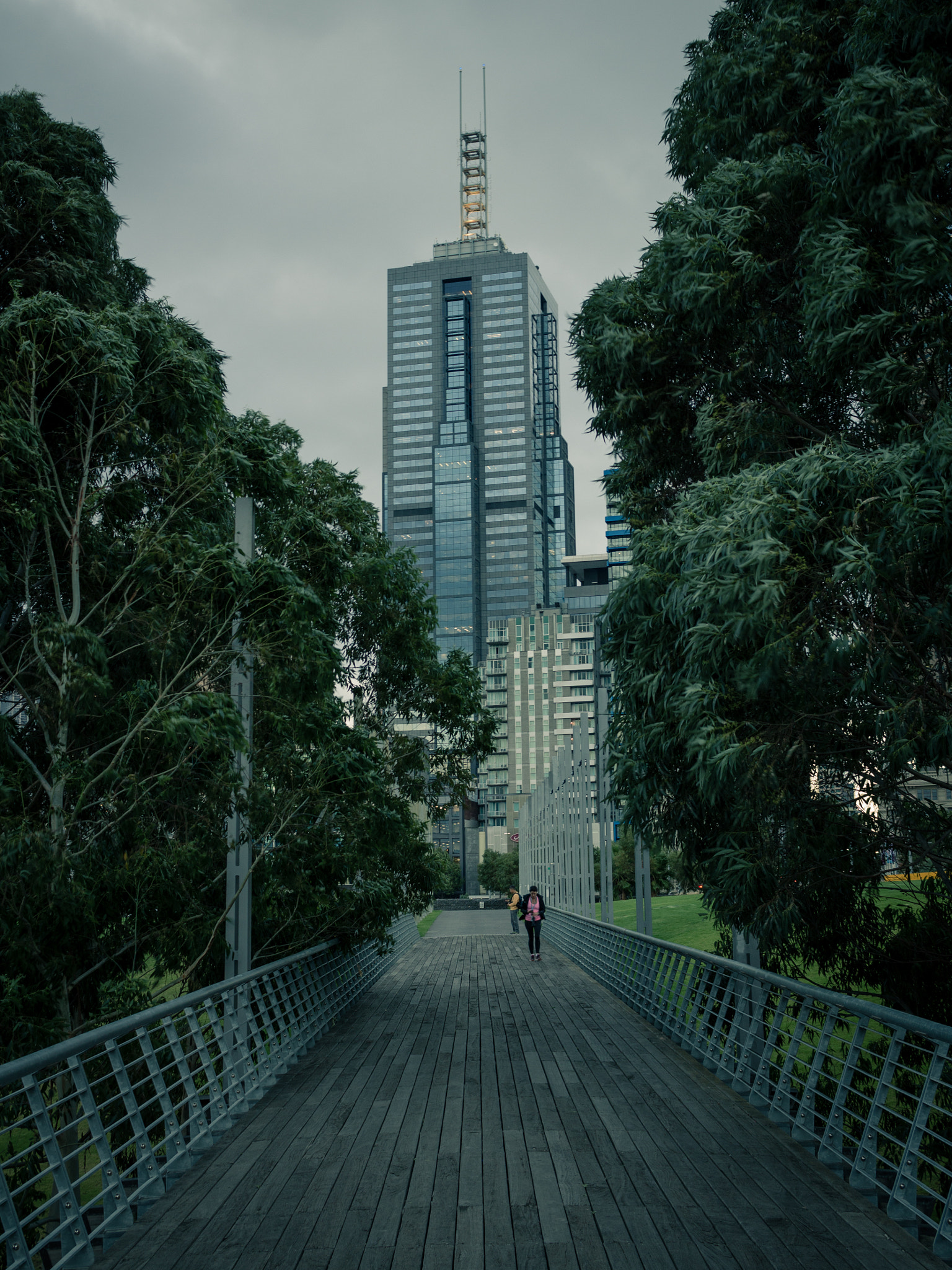 Canon EF-S 24mm F2.8 STM sample photo. Tree-lined bridge photography