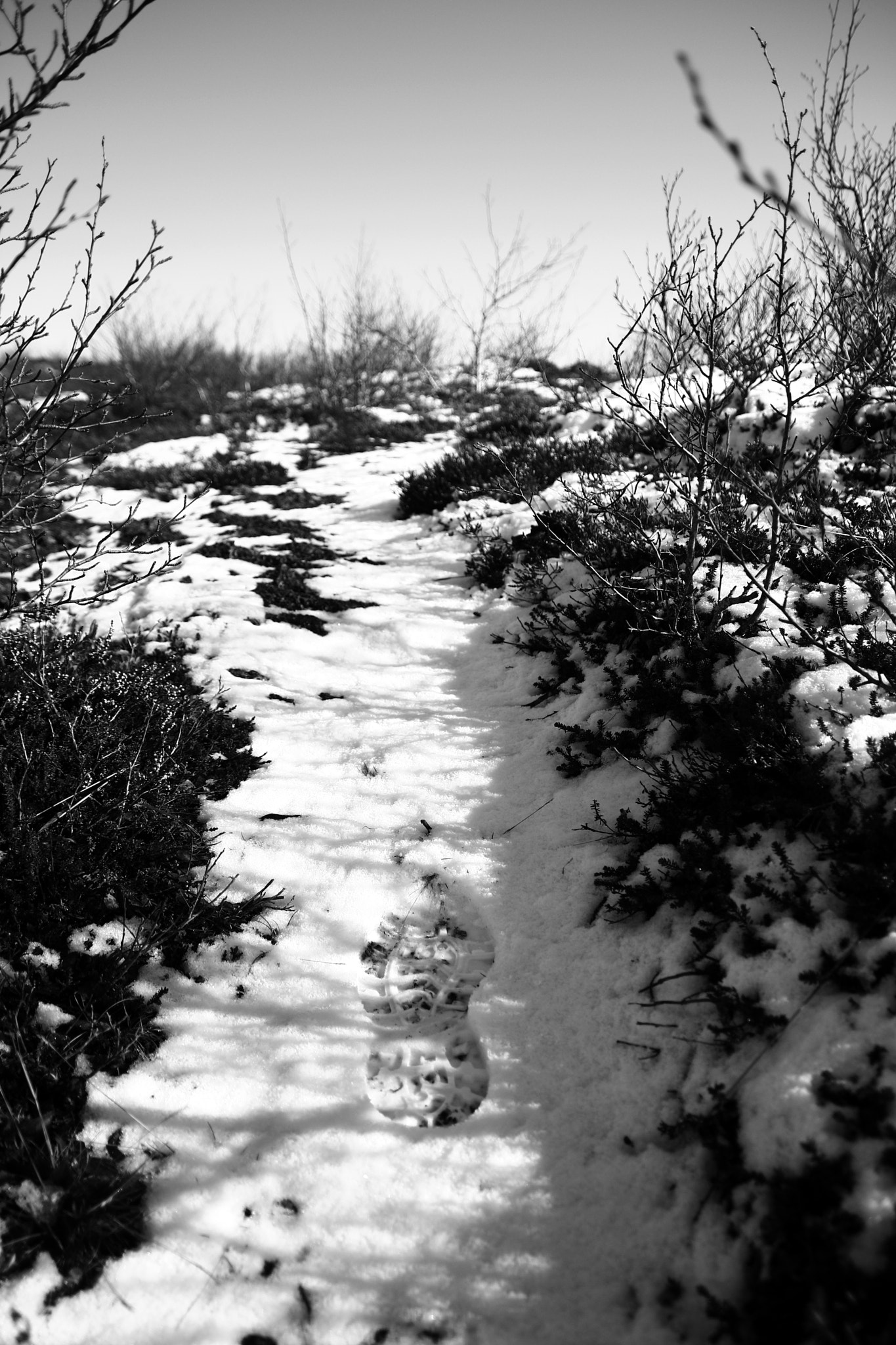 Canon EOS 100D (EOS Rebel SL1 / EOS Kiss X7) sample photo. Foortprint in snow photography
