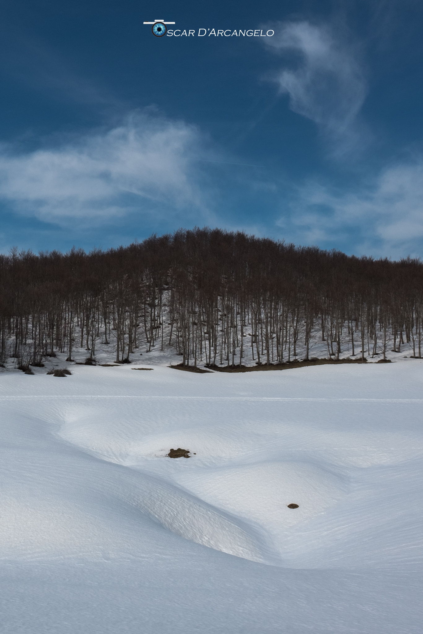 Fujifilm XF 16mm F1.4 R WR sample photo. Xpro1209-3.jpg photography