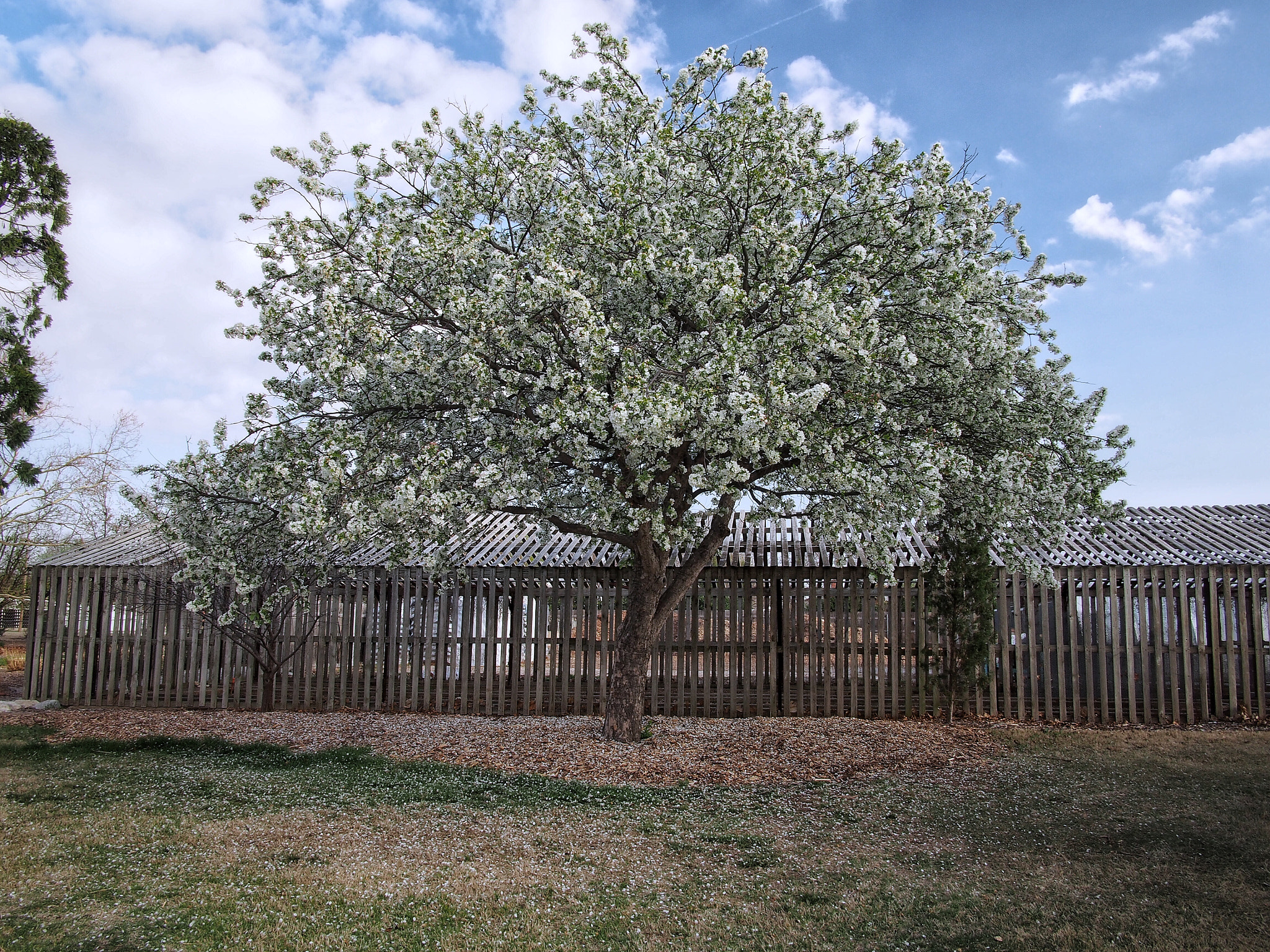 Olympus PEN E-PL6 + Panasonic Lumix G 14mm F2.5 ASPH sample photo. A warm spring snow photography