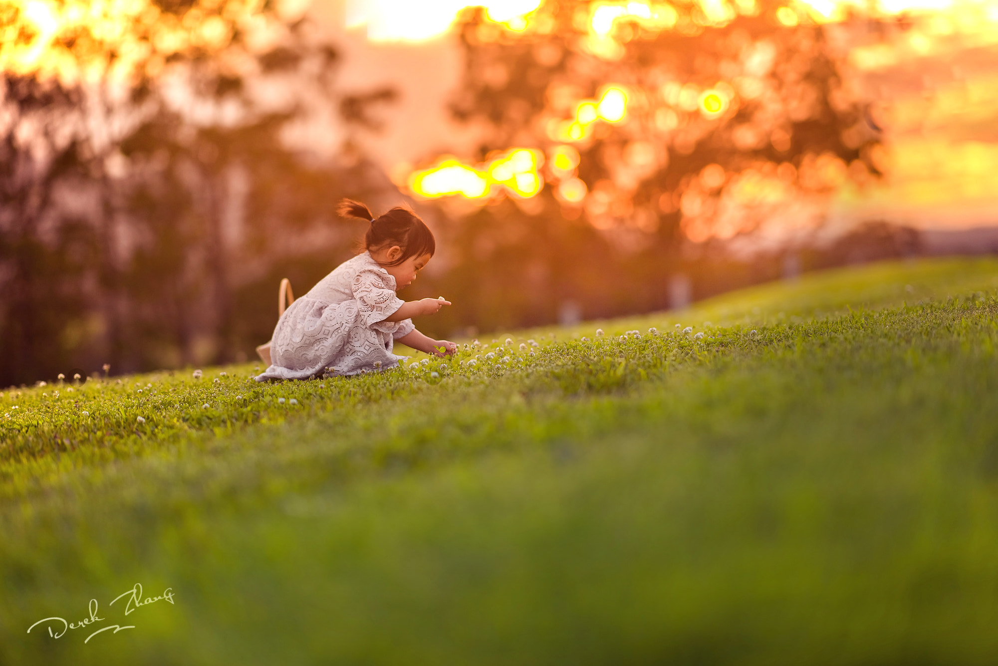 Nikon D800E + Nikon AF-S Nikkor 35mm F1.8G ED sample photo. Wild time photography