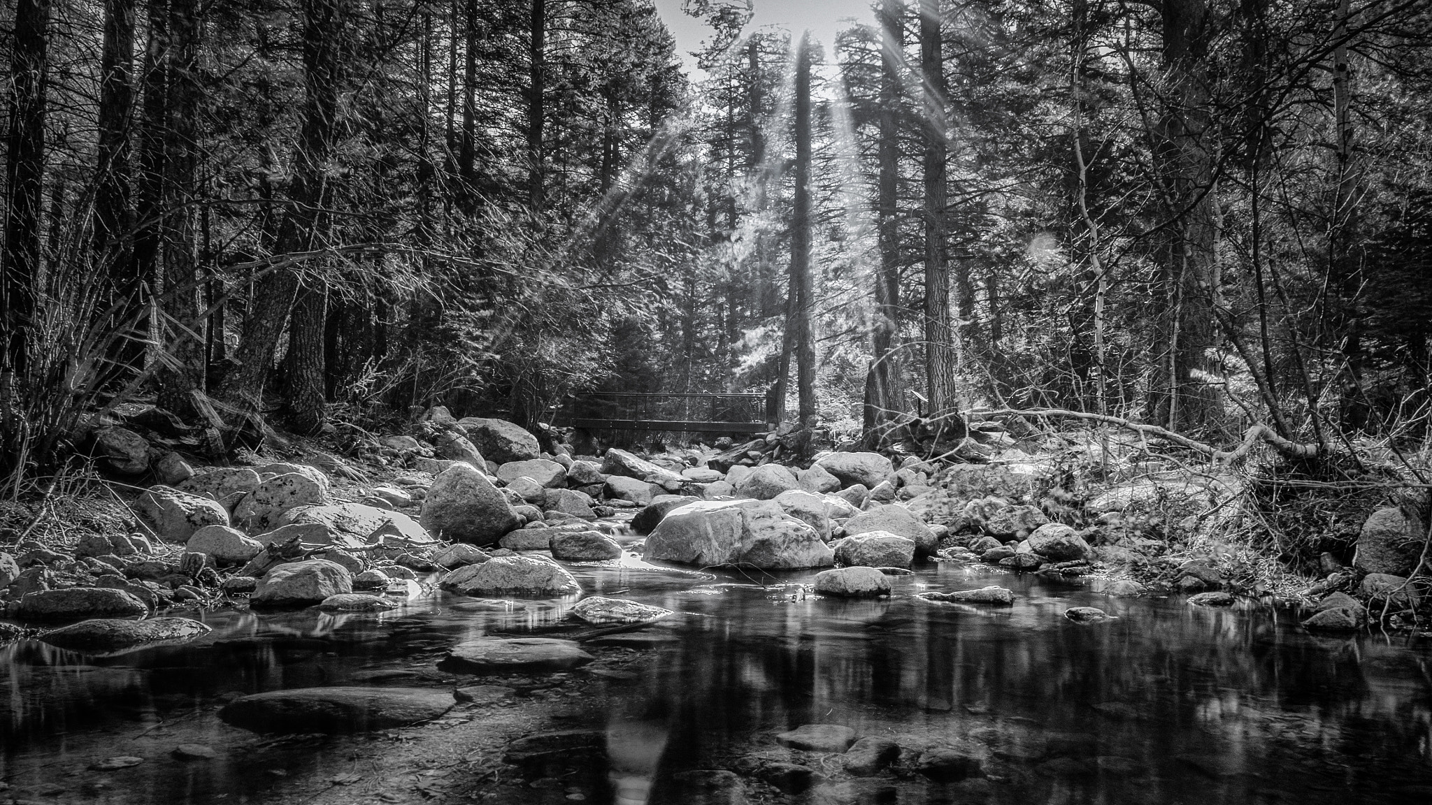 Olympus OM-D E-M10 + Olympus M.Zuiko Digital ED 12-40mm F2.8 Pro sample photo. Cripple creek photography