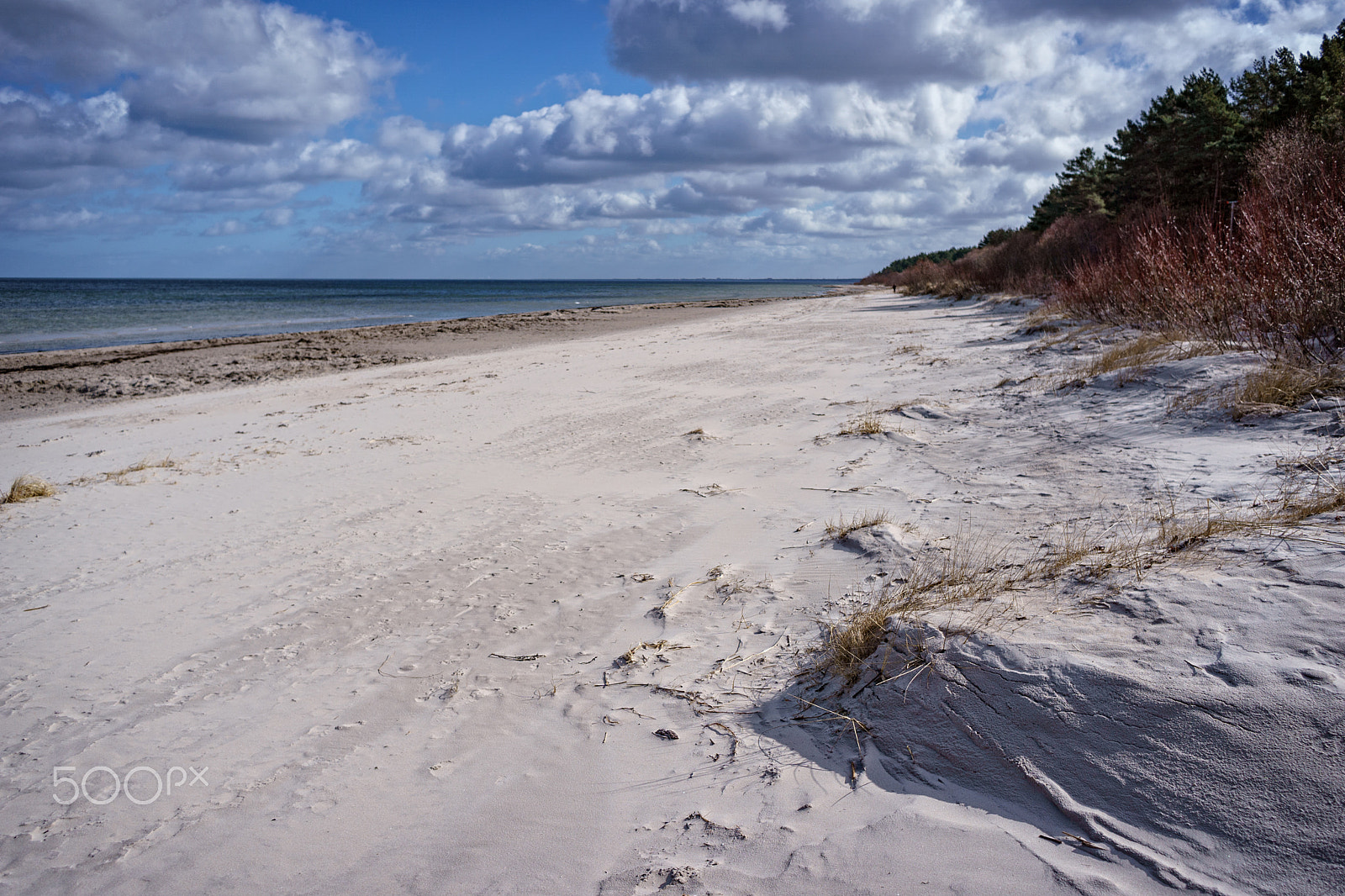 Sony E 20mm F2.8 sample photo. Early spring in jurmala photography