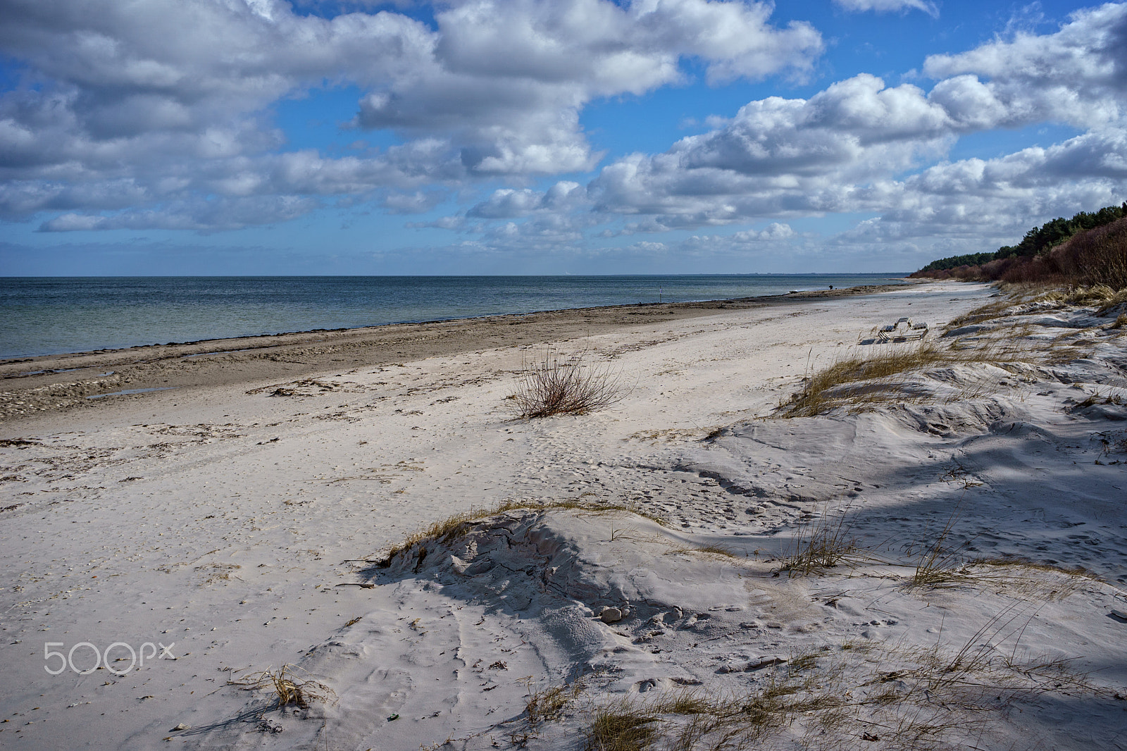 Sony a6000 + Sony E 20mm F2.8 sample photo. Early spring in jurmala photography