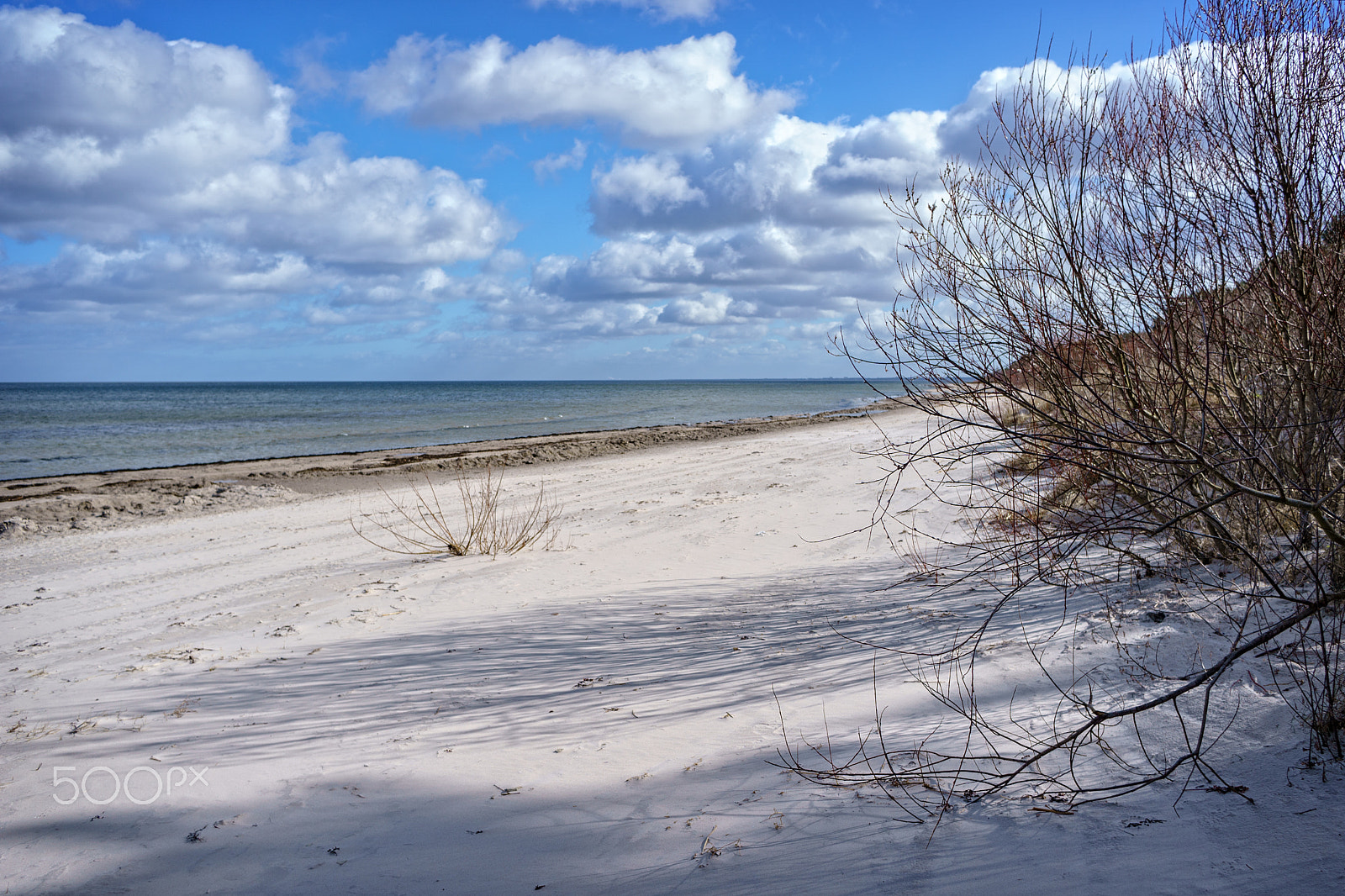 Sony E 20mm F2.8 sample photo. Early spring in jurmala photography