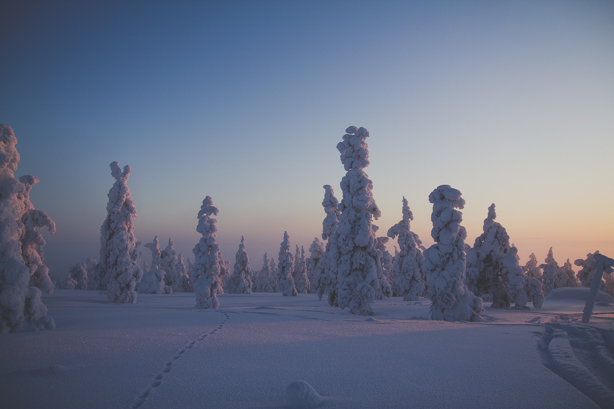 Sigma 18-50mm f/2.8 Macro sample photo. Frozen wastes photography