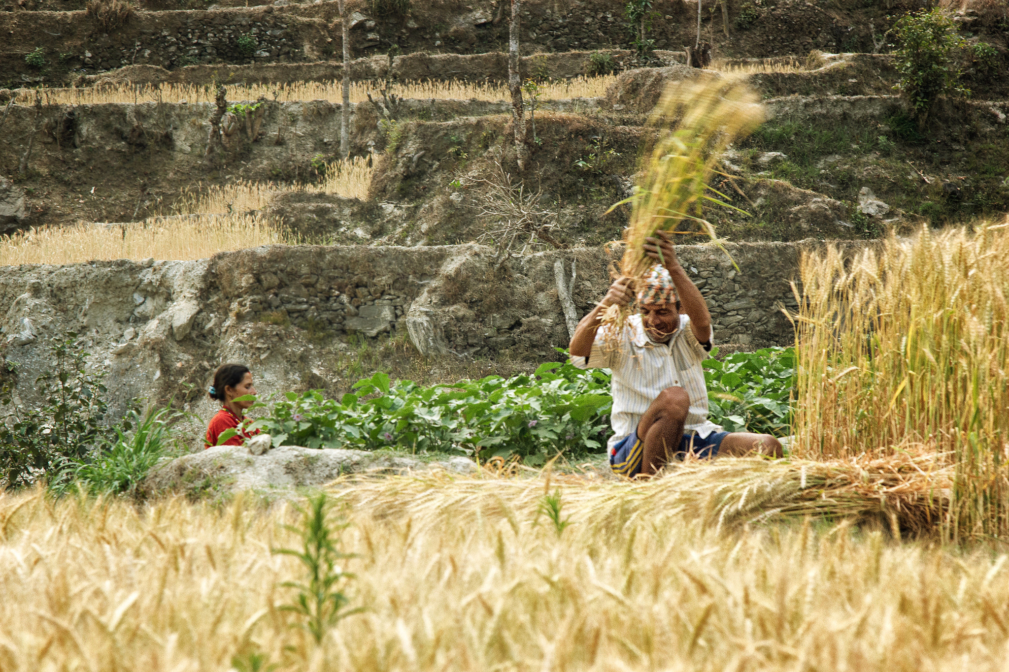 Canon EOS 550D (EOS Rebel T2i / EOS Kiss X4) + Canon EF 24-105mm F4L IS USM sample photo. Dawn at nepali terraces photography