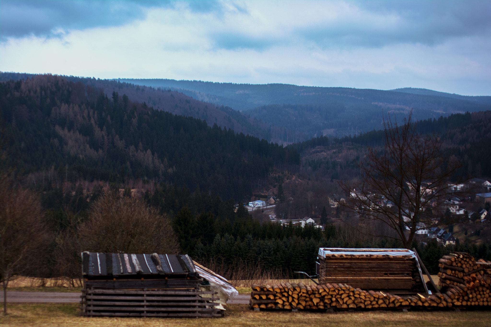 Nikon D5200 sample photo. Ore mountains - the land of wood photography