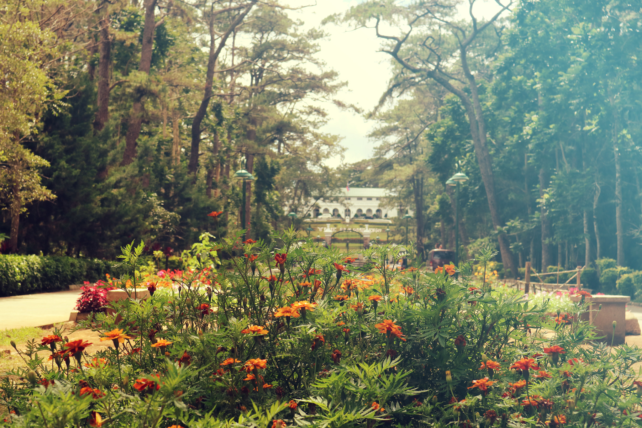 Canon EOS M3 sample photo. Wright park, baguio photography