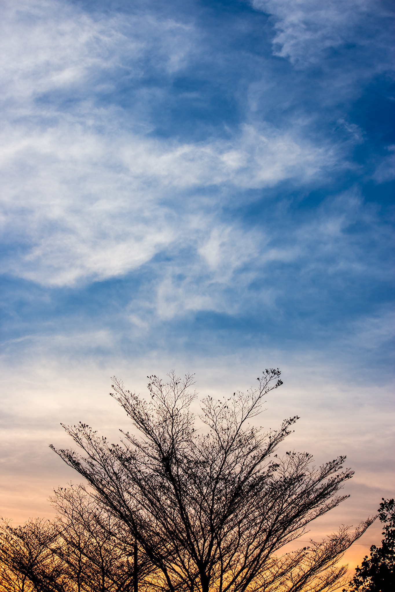 Canon EF-S 55-250mm F4-5.6 IS sample photo. Sunset photography