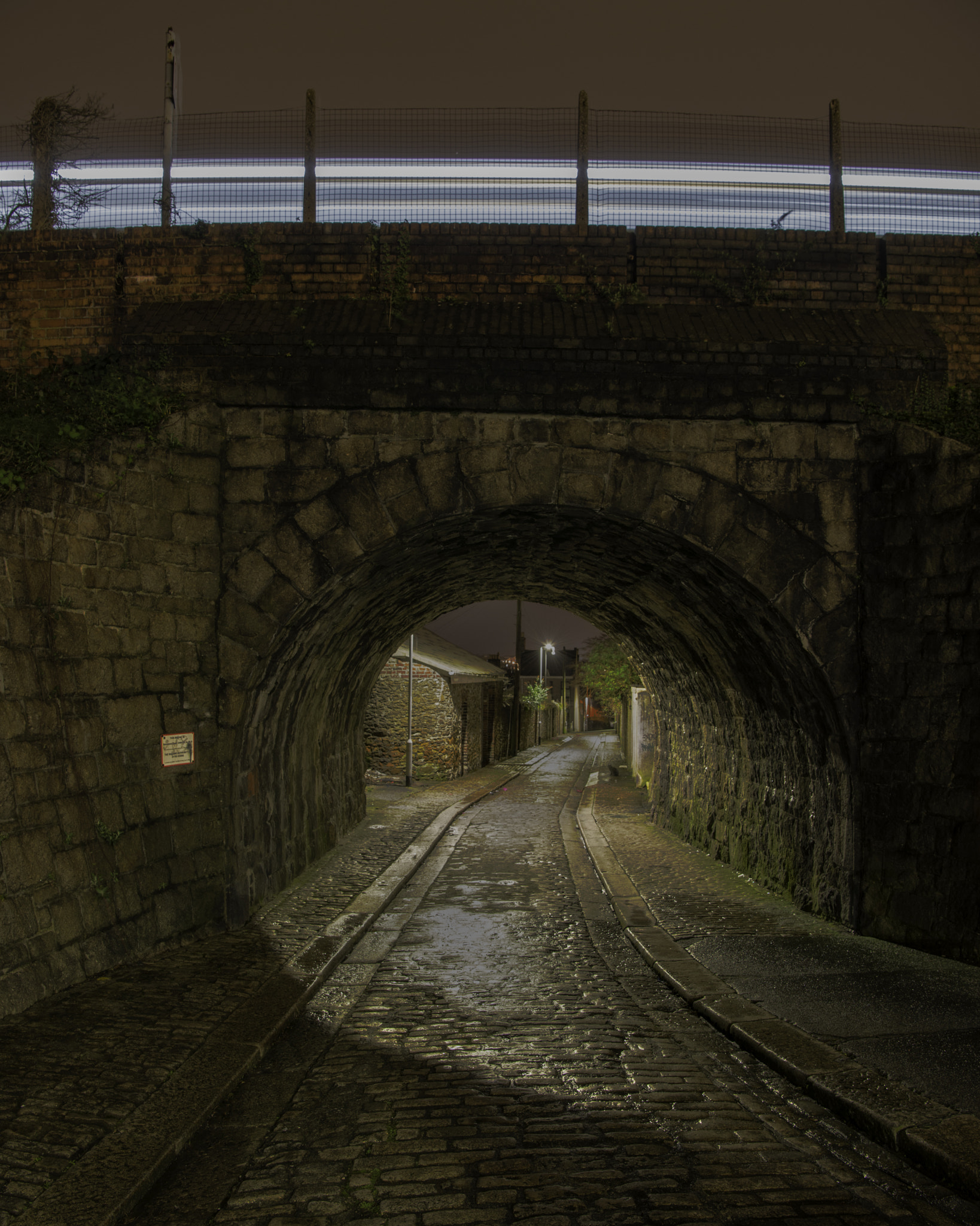 Nikon D800E sample photo. Passing train photography