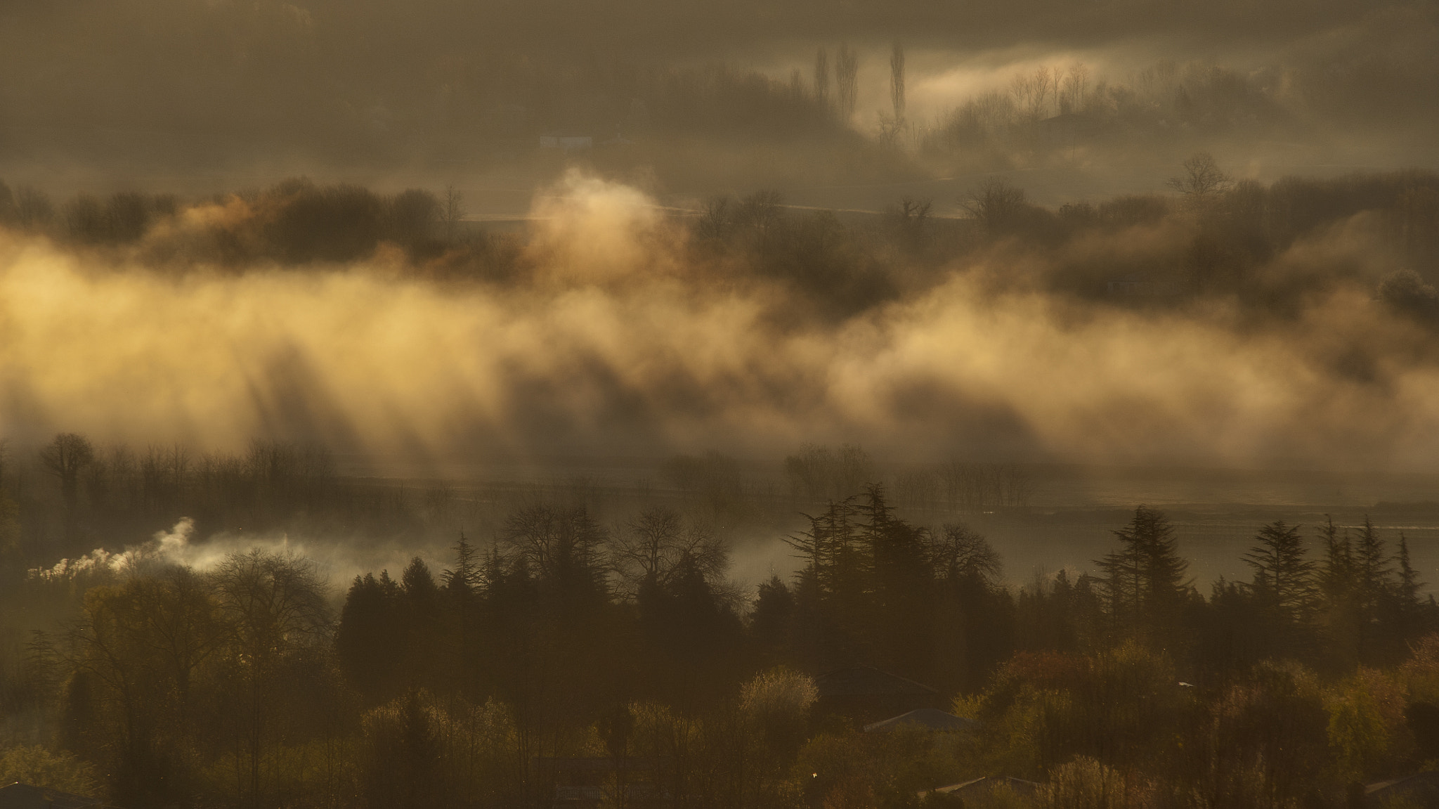 Nikon D3 sample photo. Misty morning in village... photography
