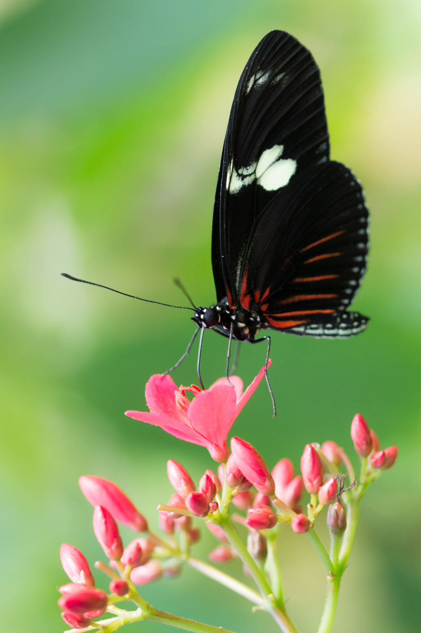 Nikon D3200 sample photo