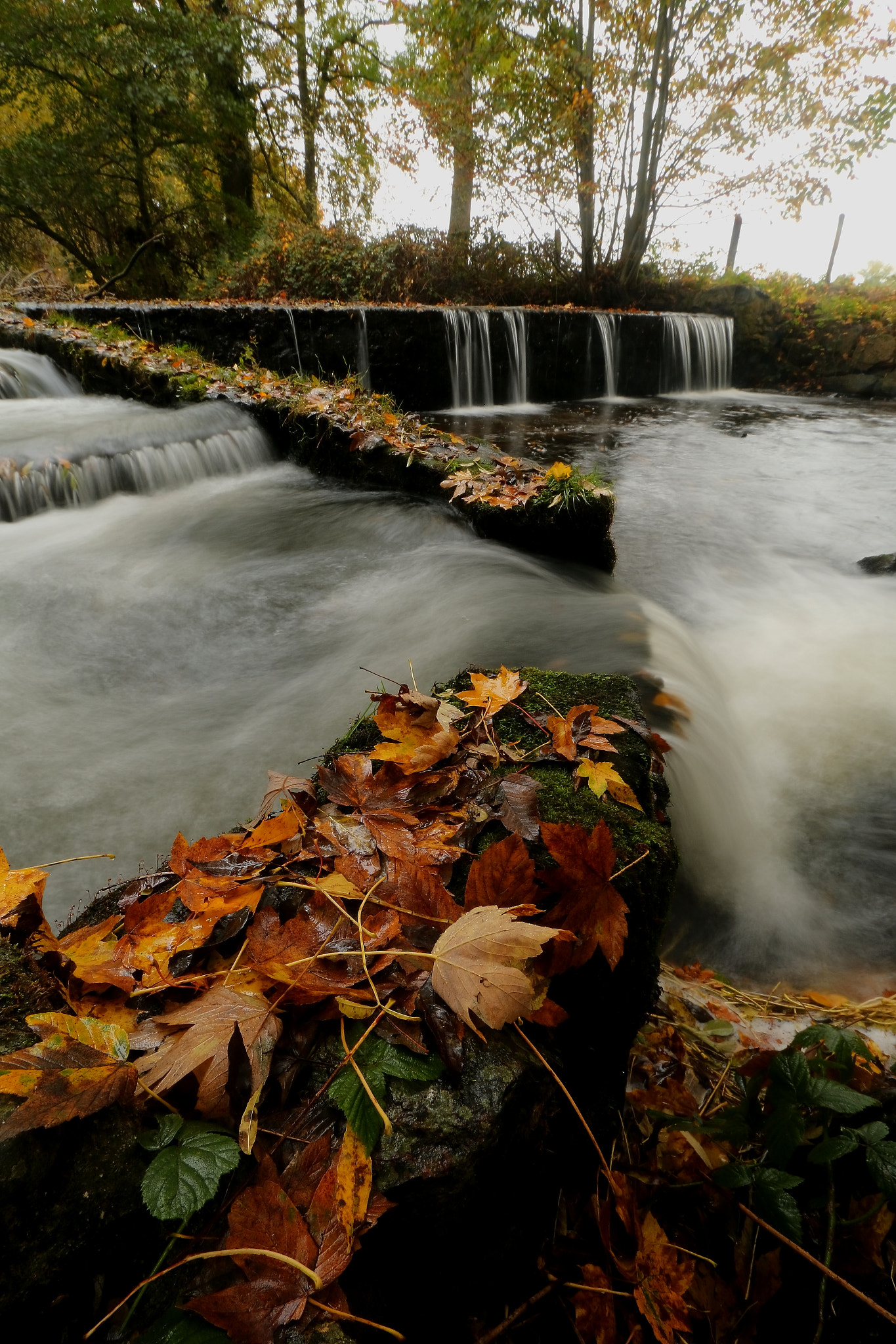 Canon EF-S 10-22mm F3.5-4.5 USM sample photo. Rive photography