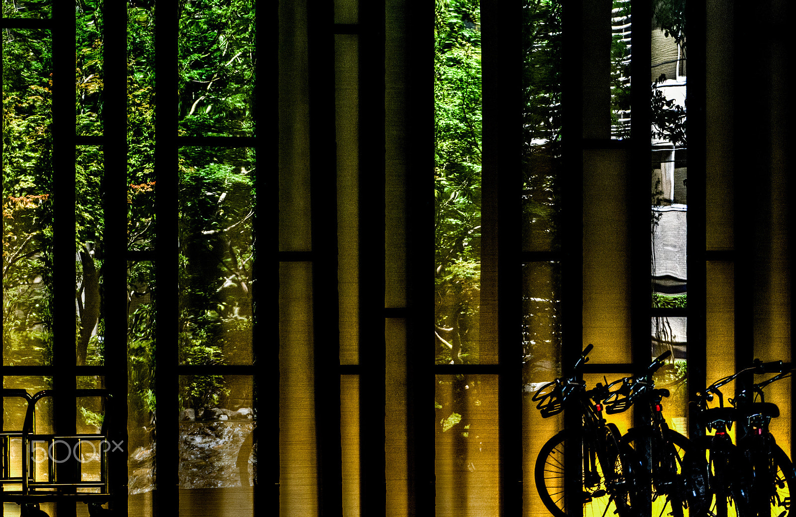 Sony a6000 + Sony FE 70-200mm F4 G OSS sample photo. Shadow green reflection photography