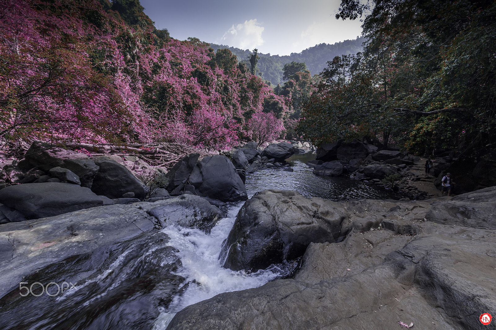 Canon EF-S 10-22mm F3.5-4.5 USM sample photo. Zephyrr photography