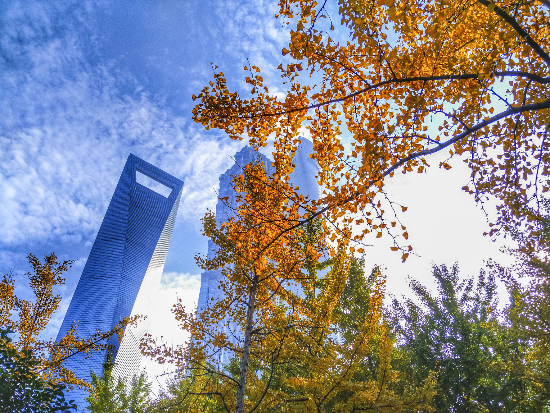 Xiaomi MI NOTE Pro sample photo. Lujiazui green land photography