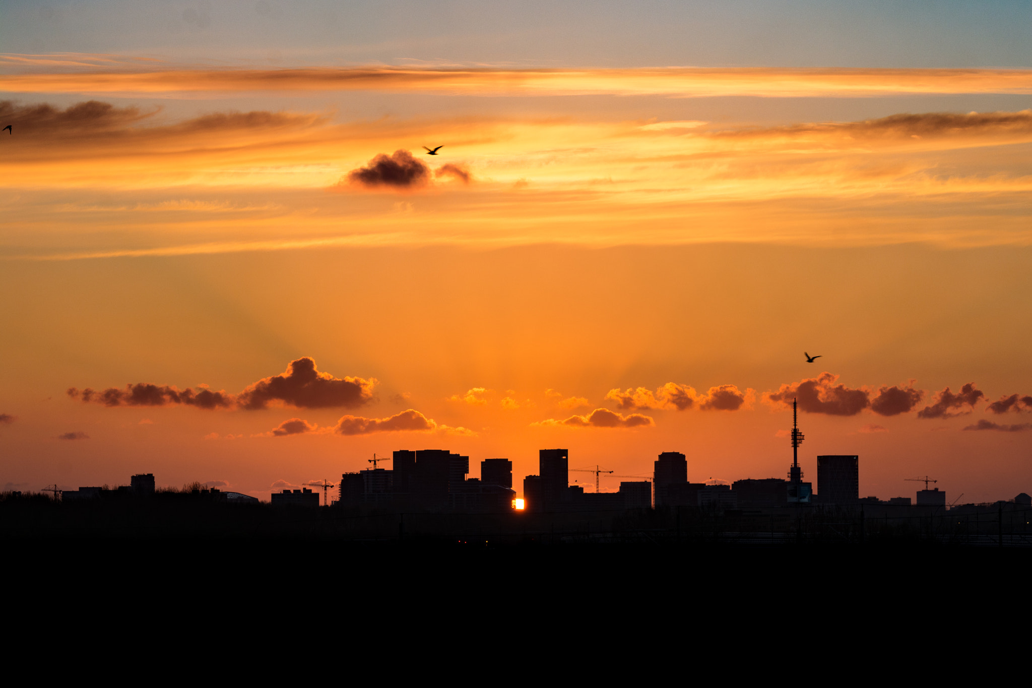 Nikon AF-S Nikkor 70-200mm F2.8G ED VR II sample photo. Golden sunset photography