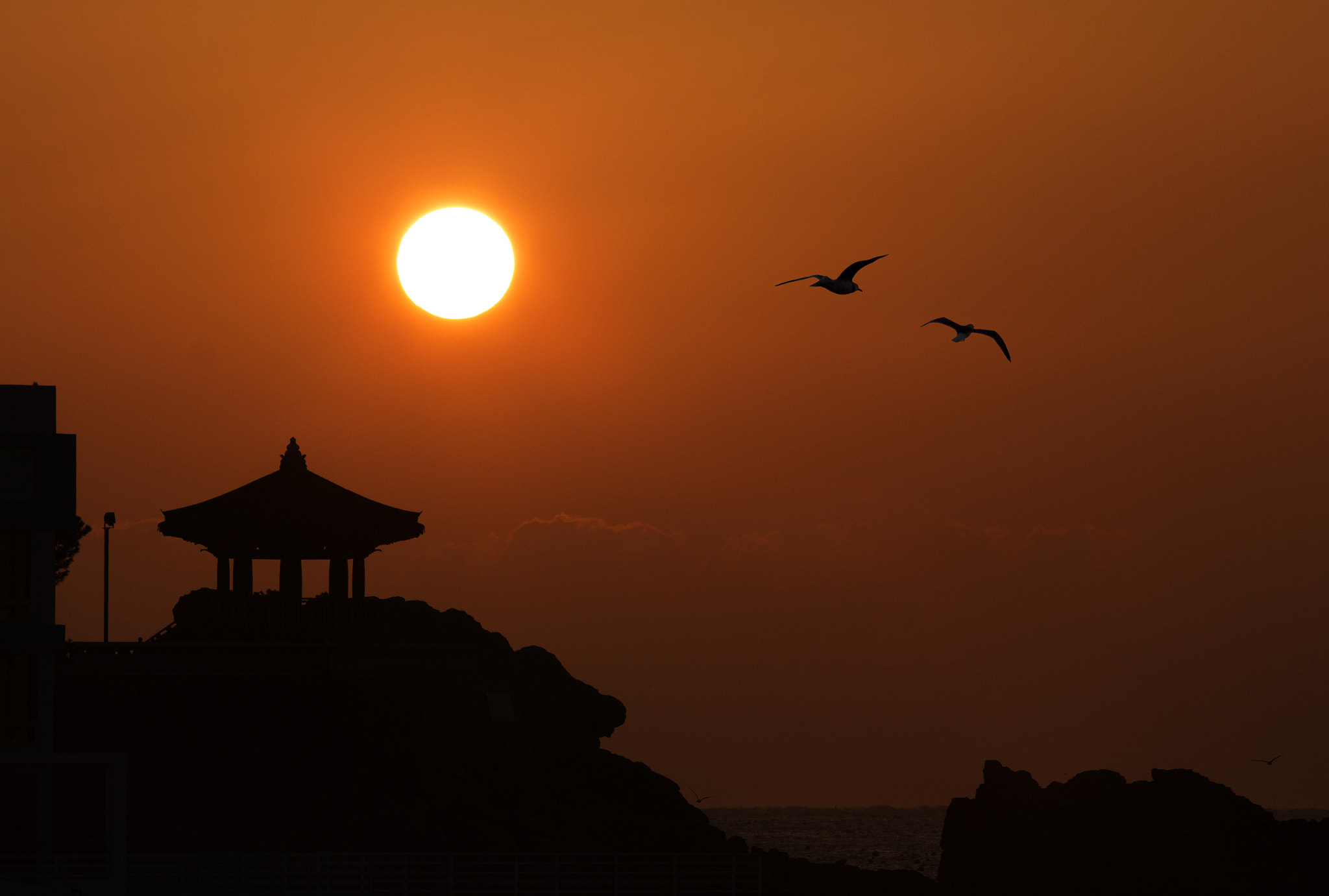 Canon EF 70-200mm F2.8L USM sample photo. Feb photography