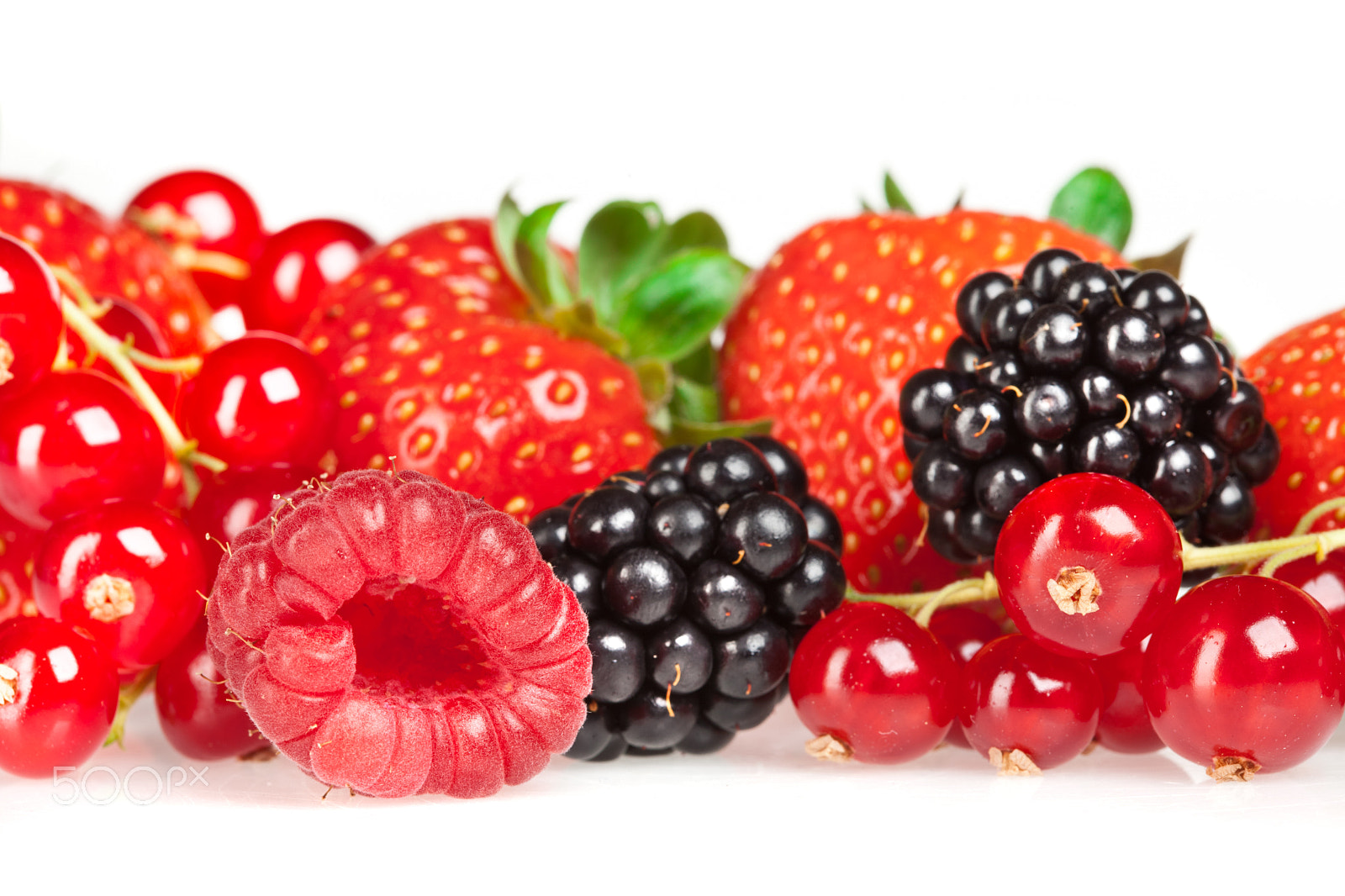 Canon EF 100mm F2.8 Macro USM sample photo. Berrys photography